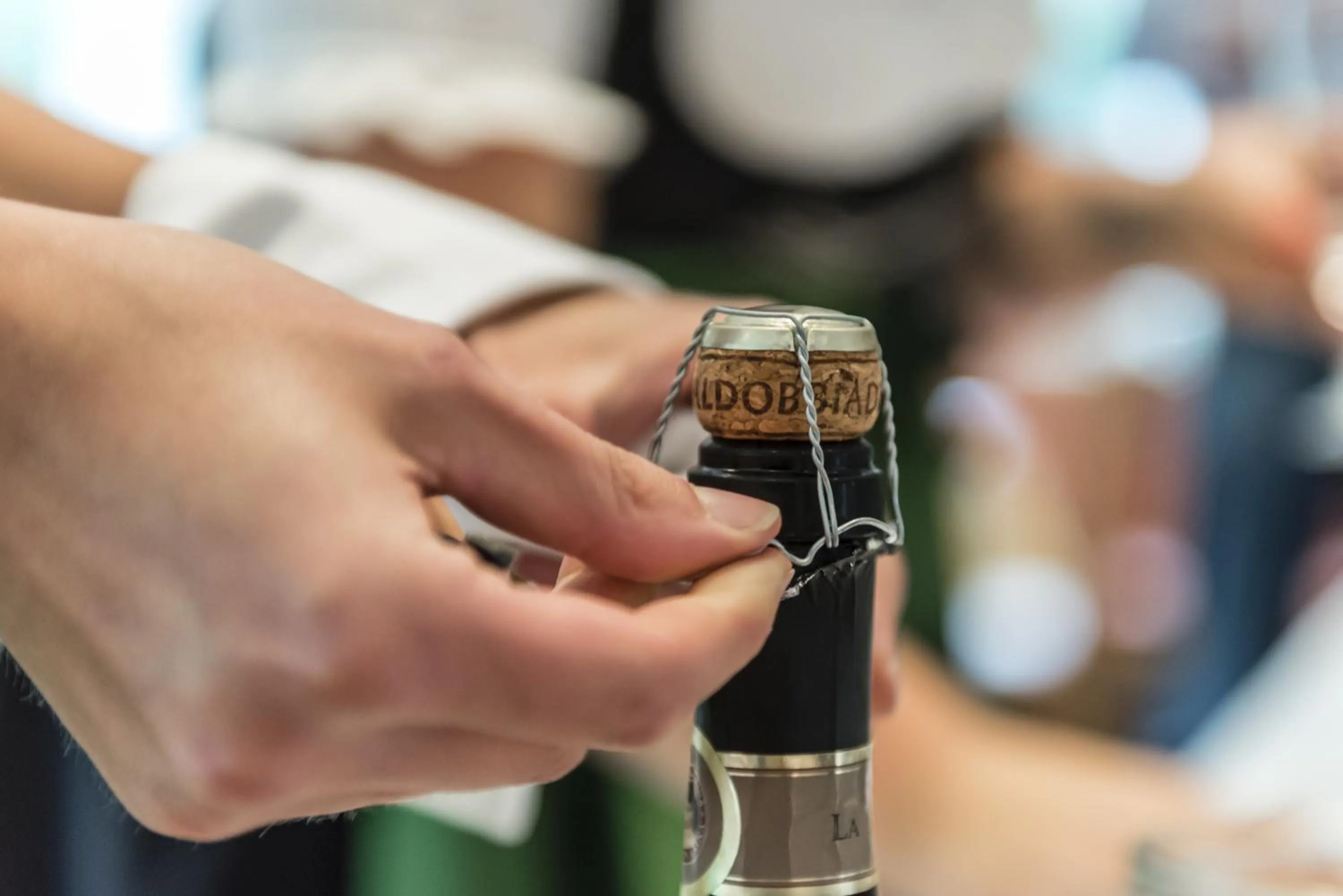 Alcoholic drinks in Pension Prack