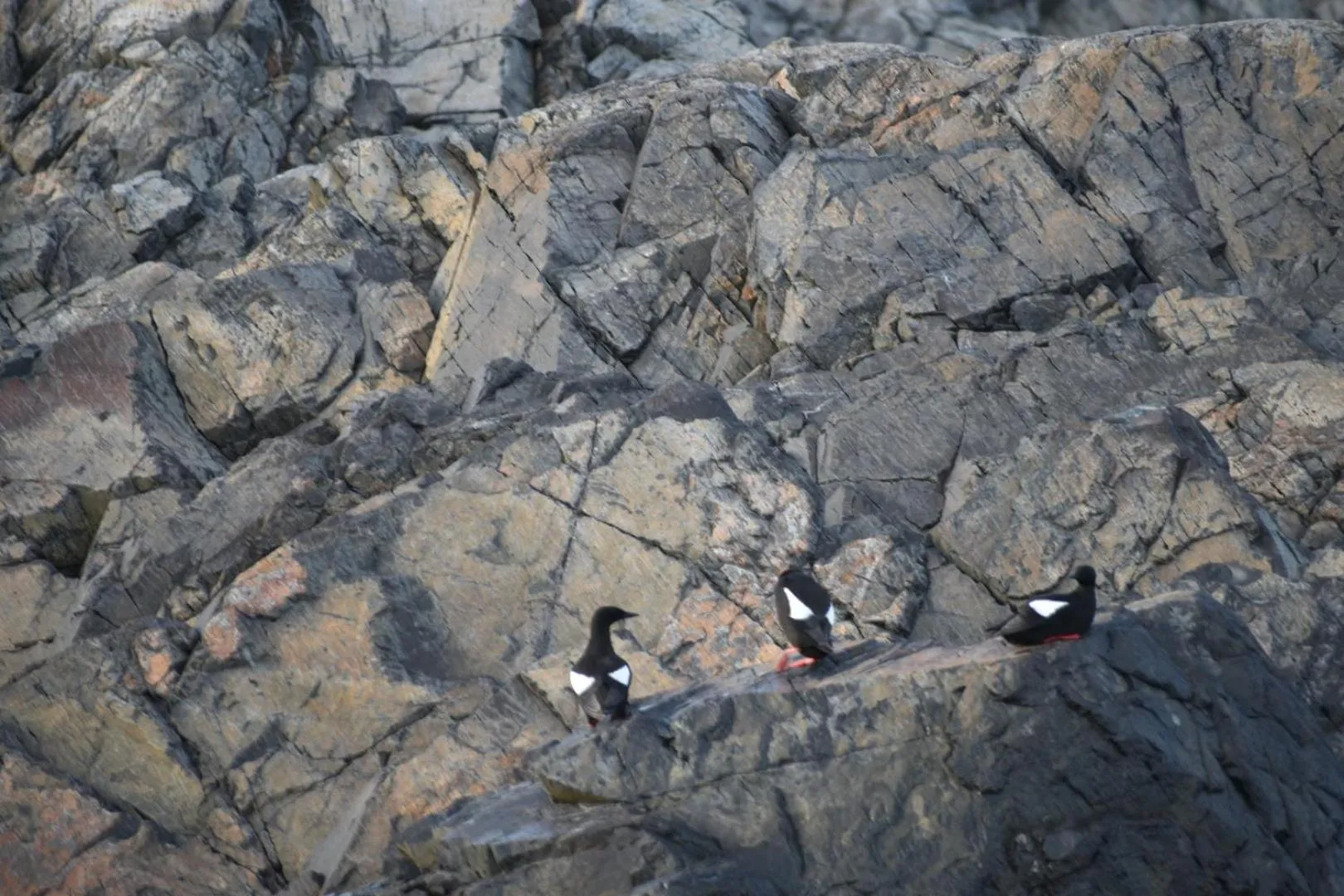 Natural landscape in Seascape Coastal Retreat - 2 ADULTS ONLY - HOT TUB AND WITHOUT HOT TUB OCEANFRONT PROPERTY