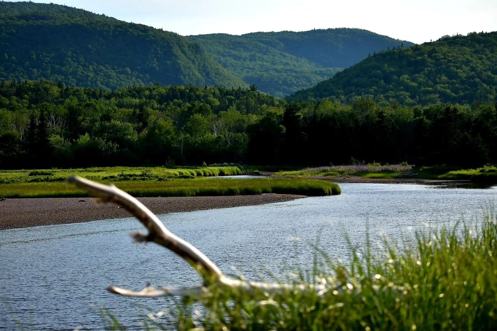 Natural landscape in Seascape Coastal Retreat - 2 ADULTS ONLY - HOT TUB AND WITHOUT HOT TUB OCEANFRONT PROPERTY