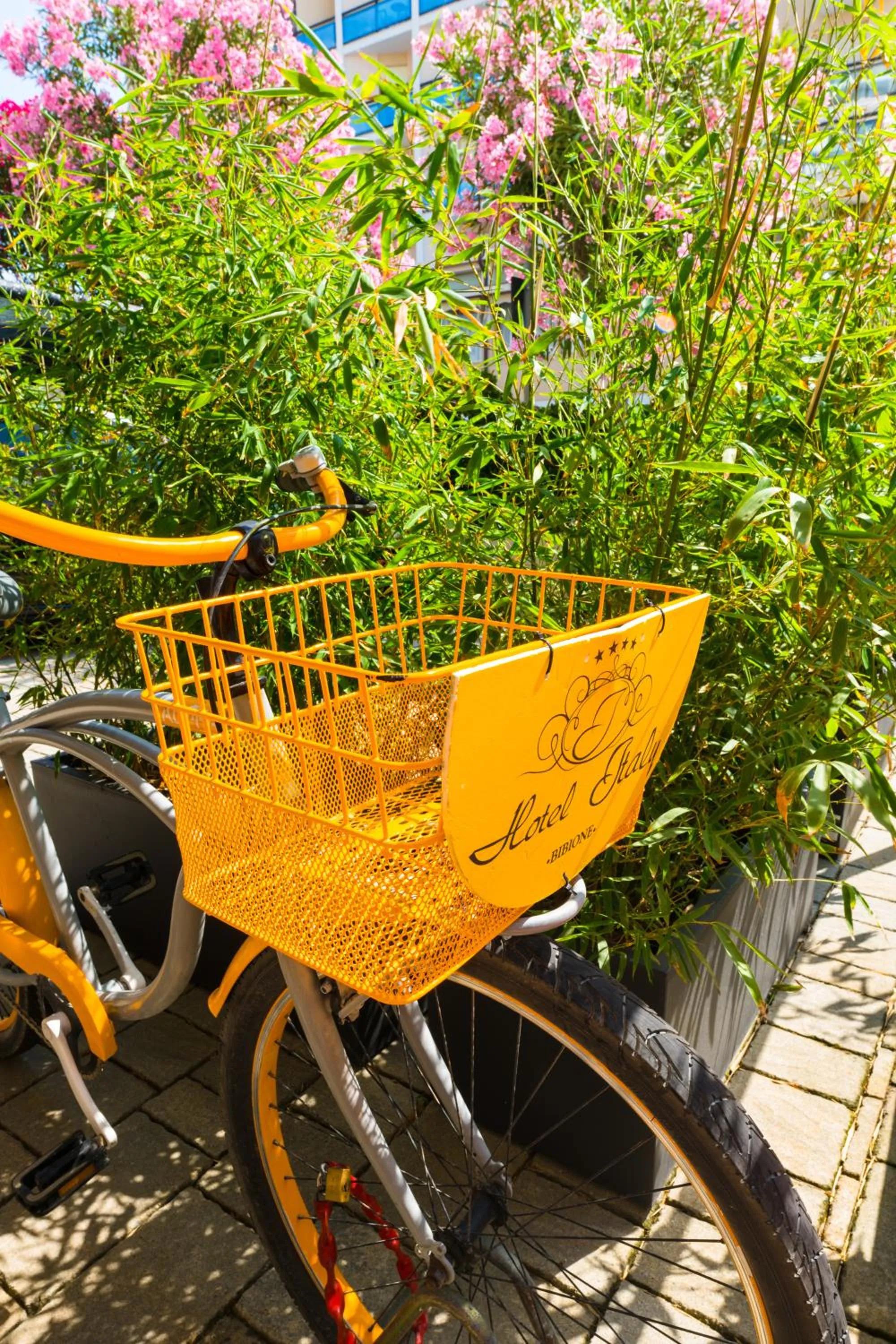 Cycling in Hotel Italy