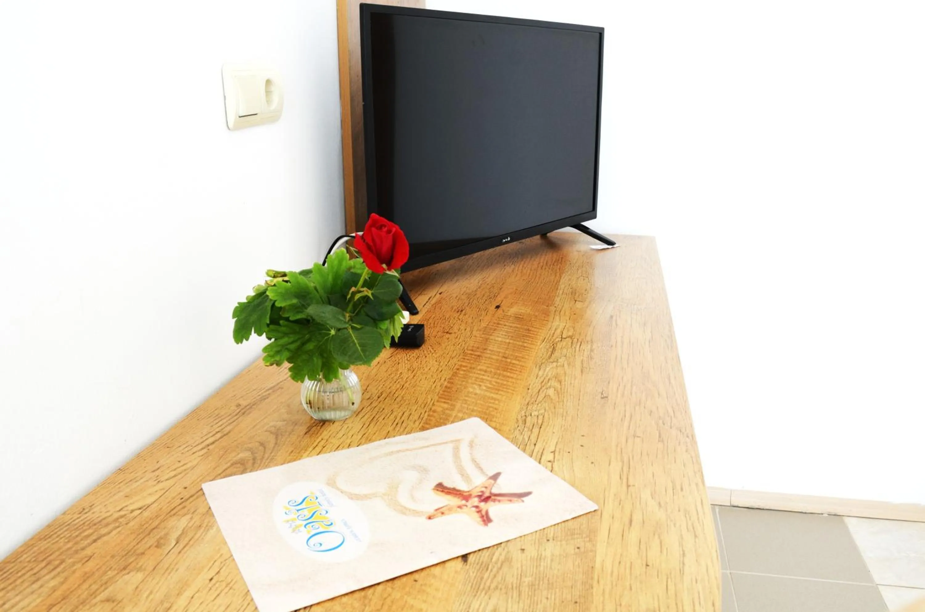 TV and multimedia in Hotel Oasis - Beach Access