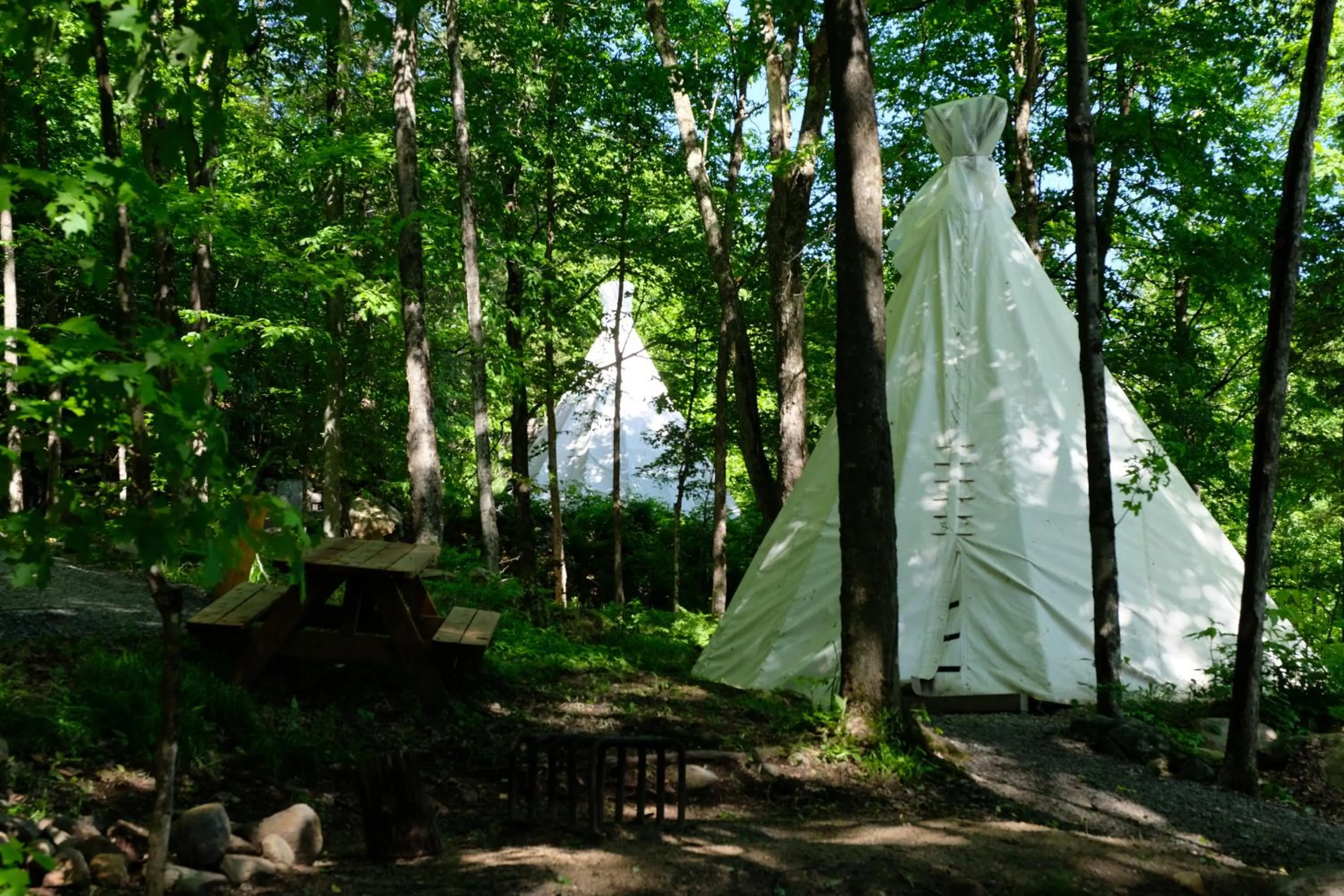 Property building in Parc Omega
