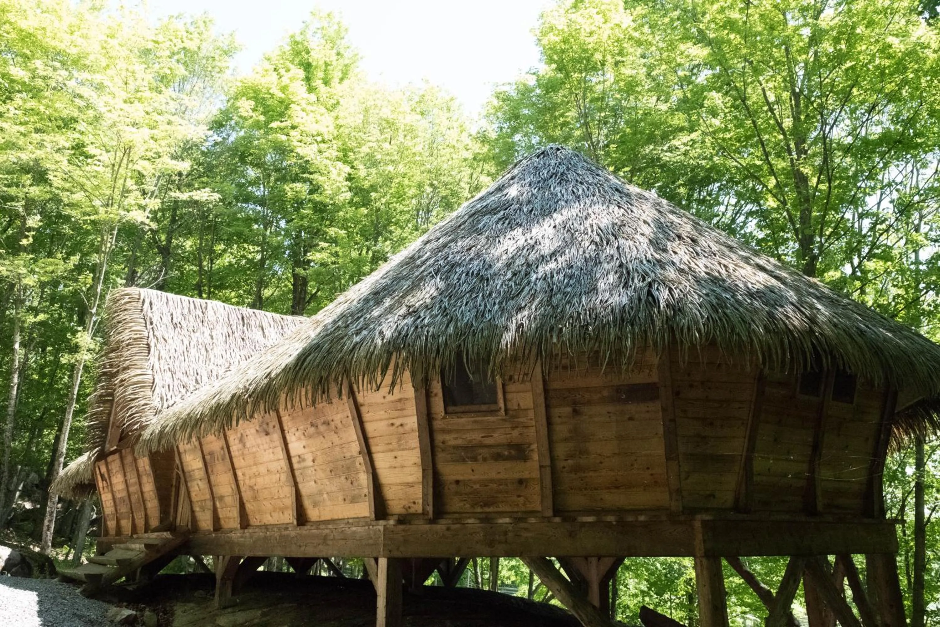 Natural landscape in Parc Omega