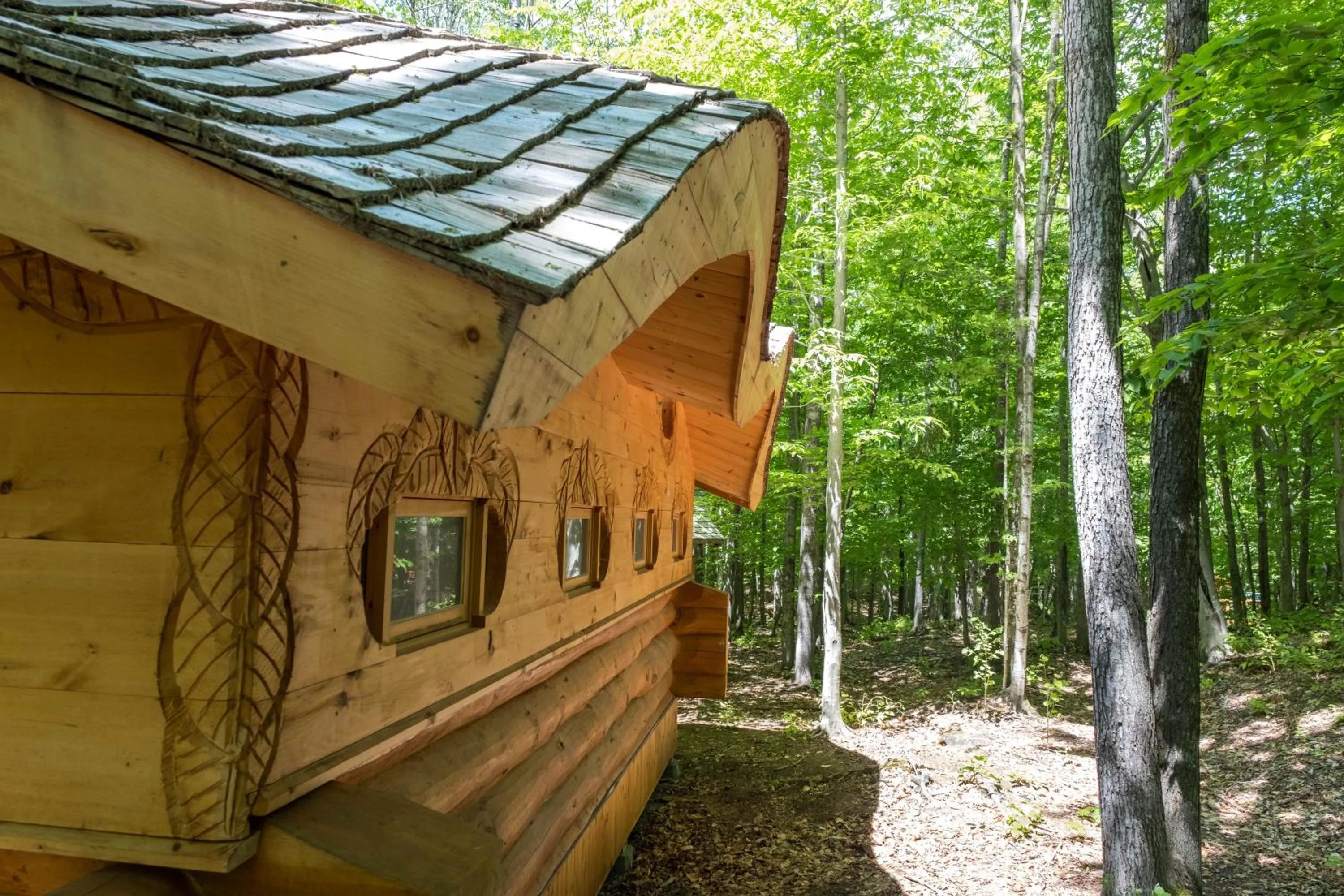 Natural landscape in Parc Omega