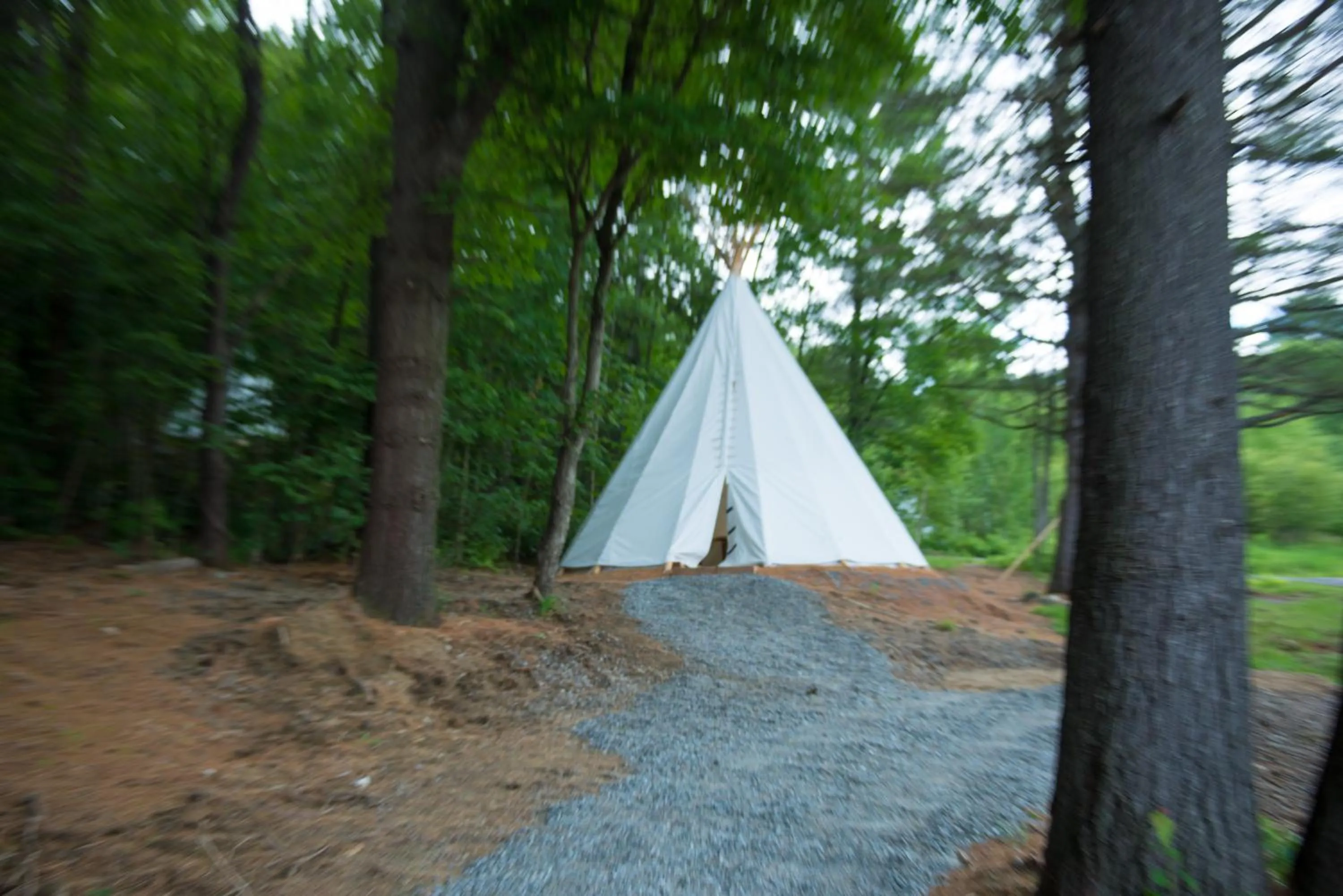 Natural landscape in Parc Omega
