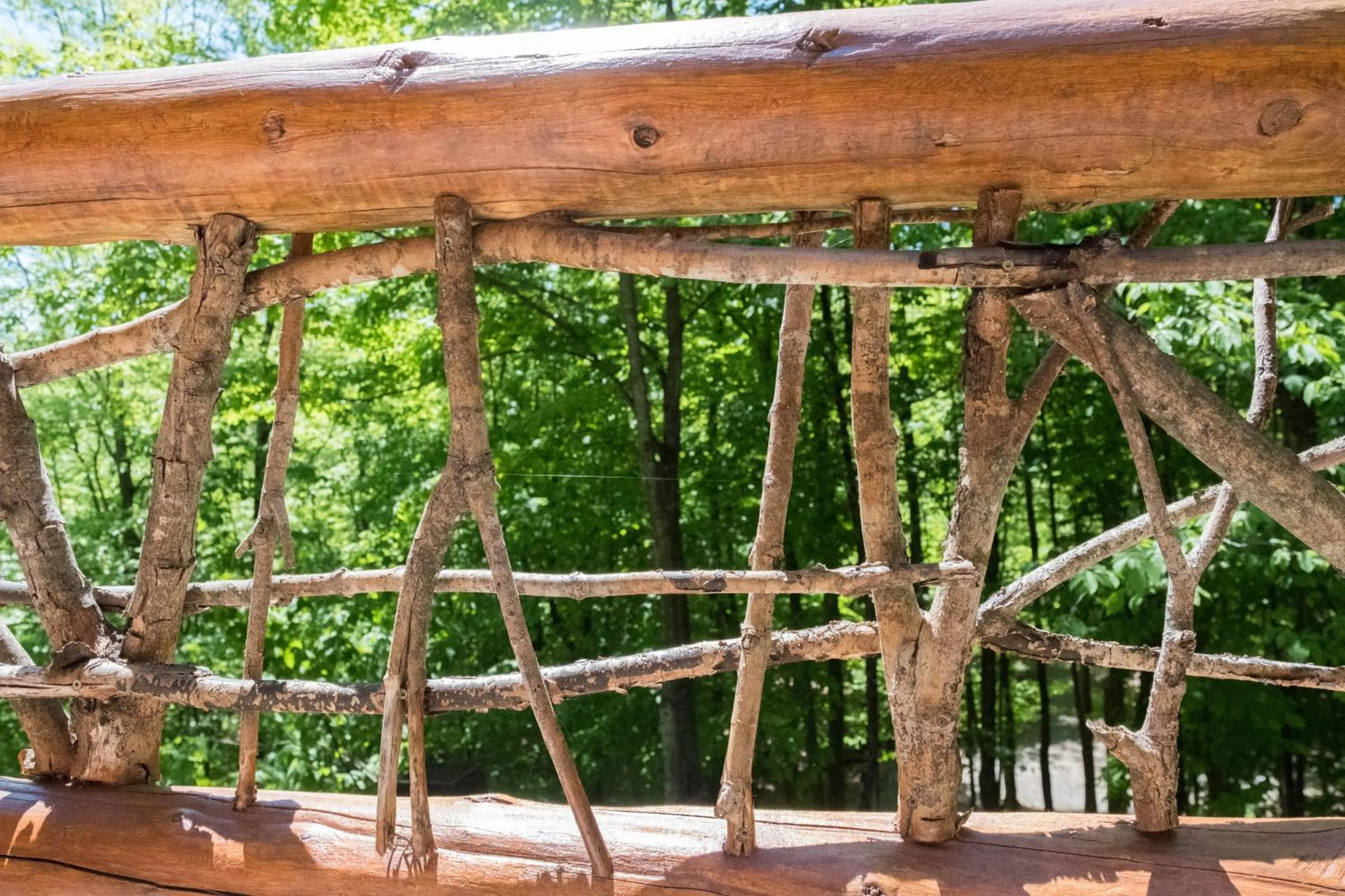 Natural landscape in Parc Omega