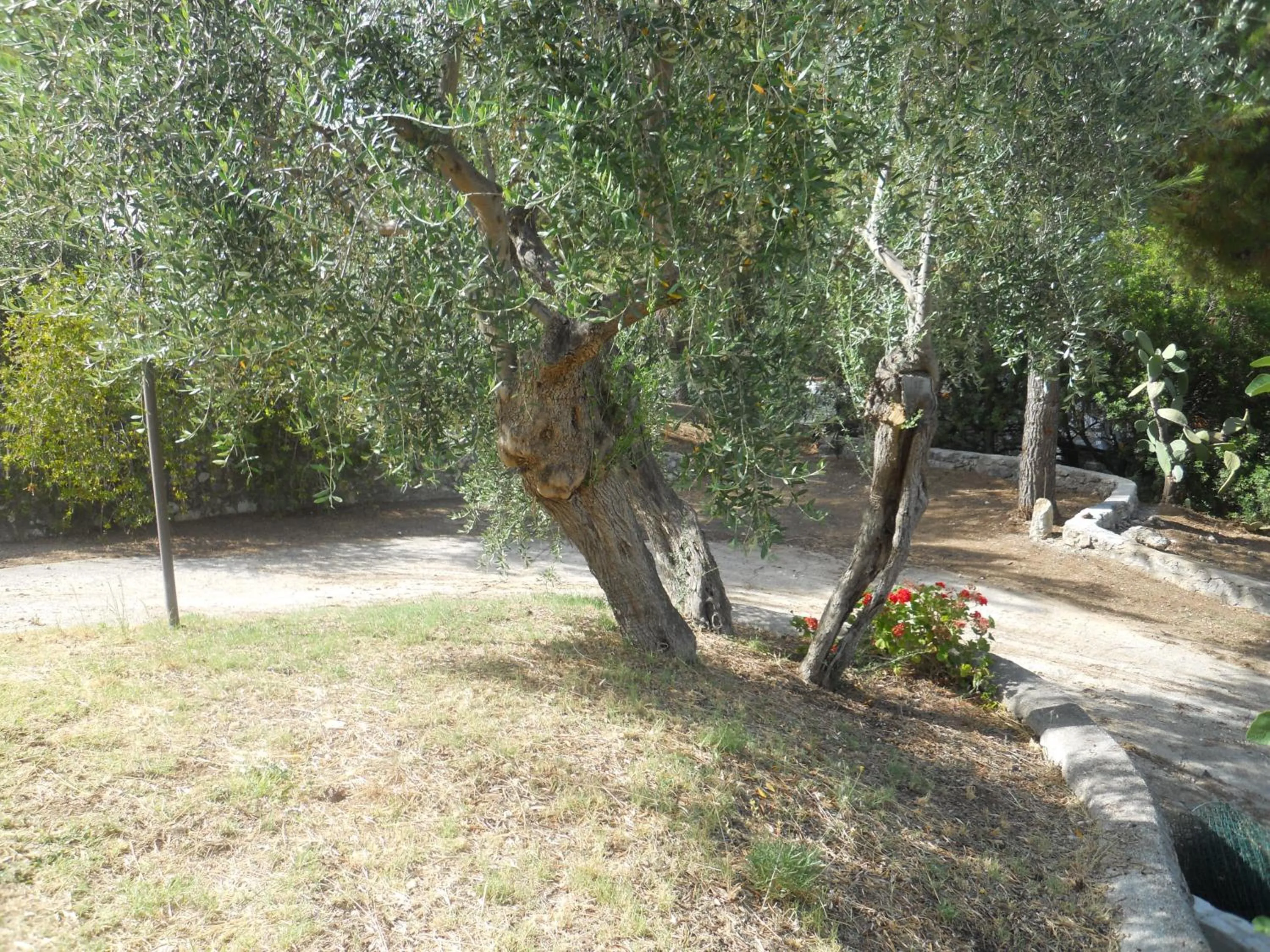 Other in Residence Dolce Far Niente