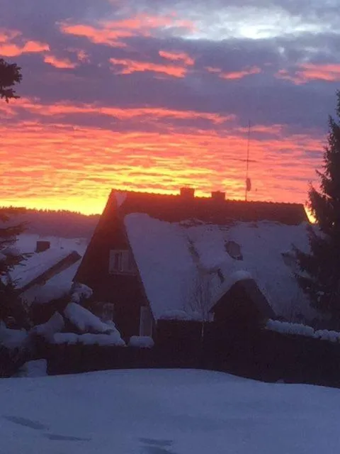 Balcony/Terrace in Hotel Adlerschanze