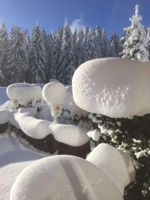 Winter in Hotel Adlerschanze