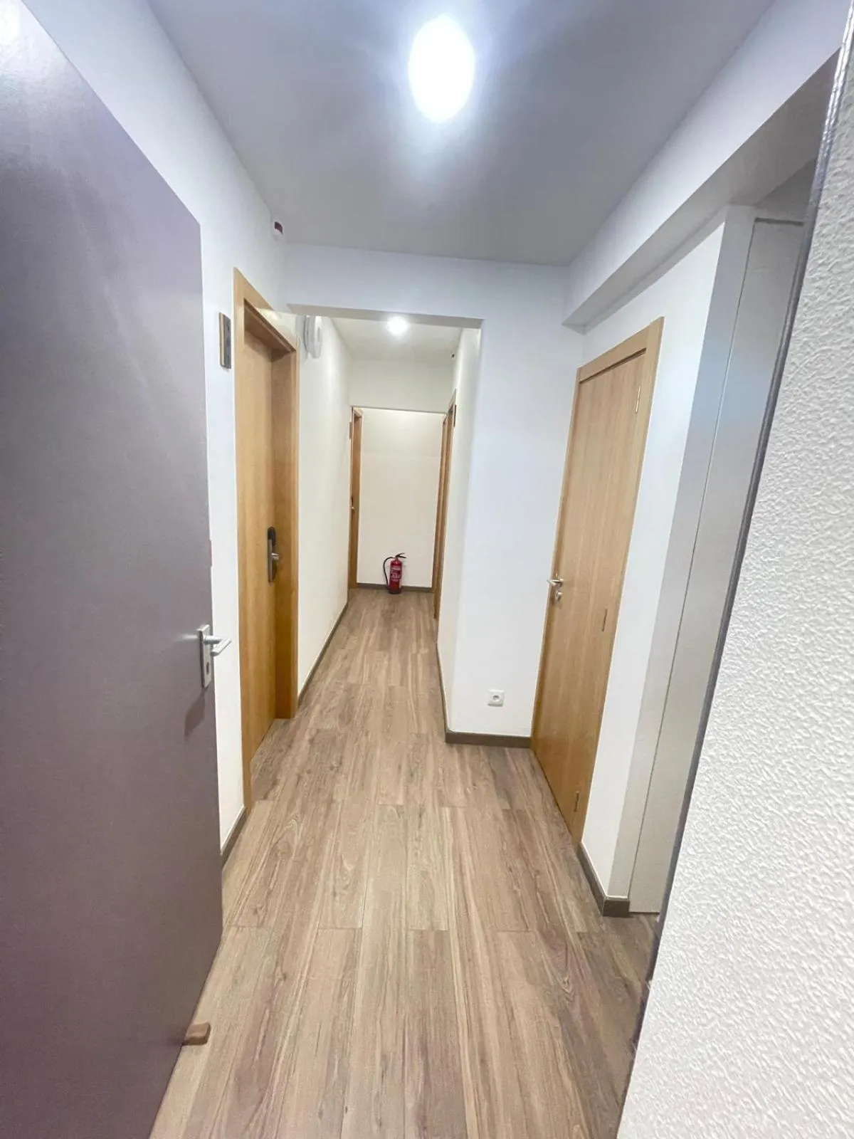 Property building in Hotel Flamingo