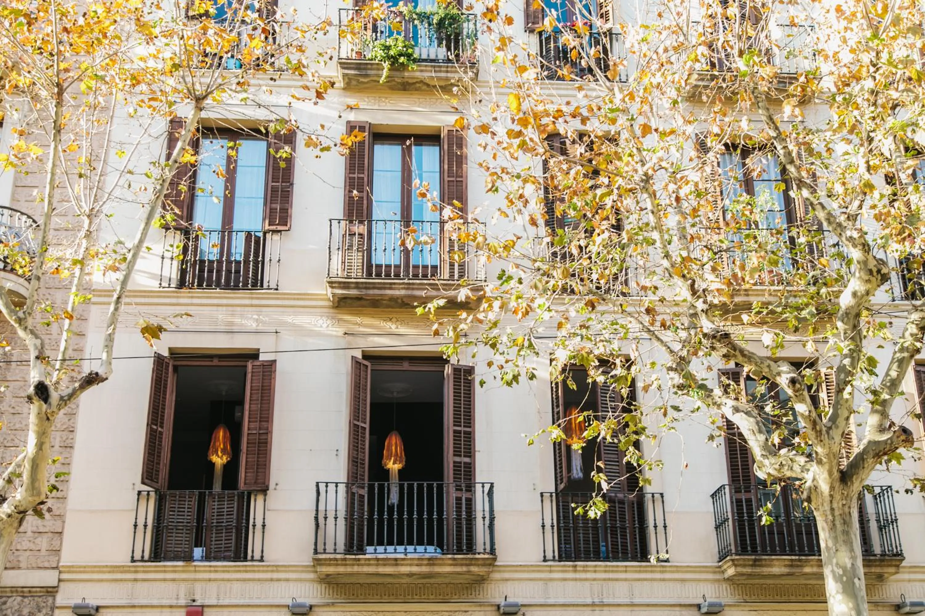 Day in ZOOROOMS Boutique Guesthouse