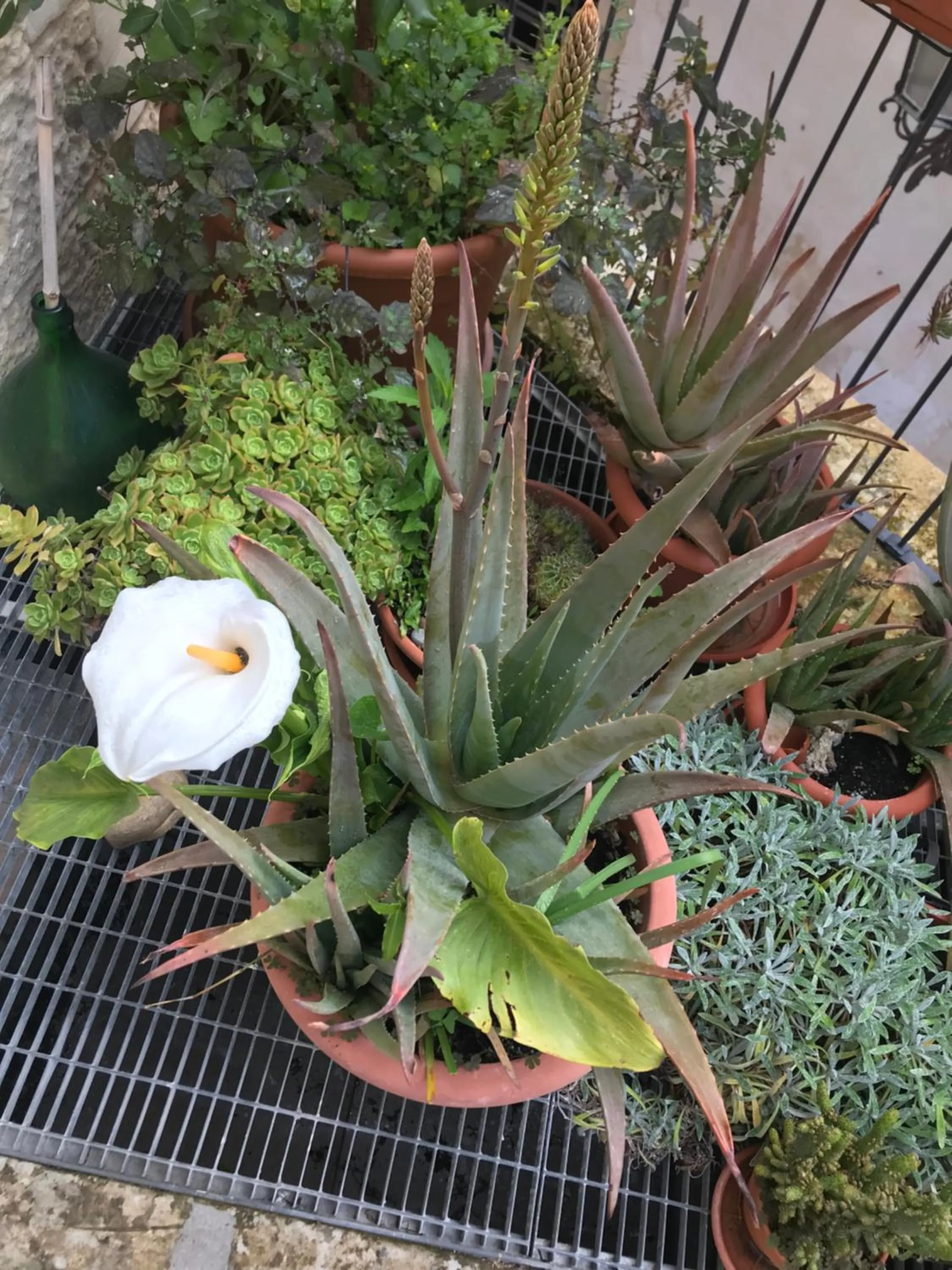 Antica Dimora dei Nonni