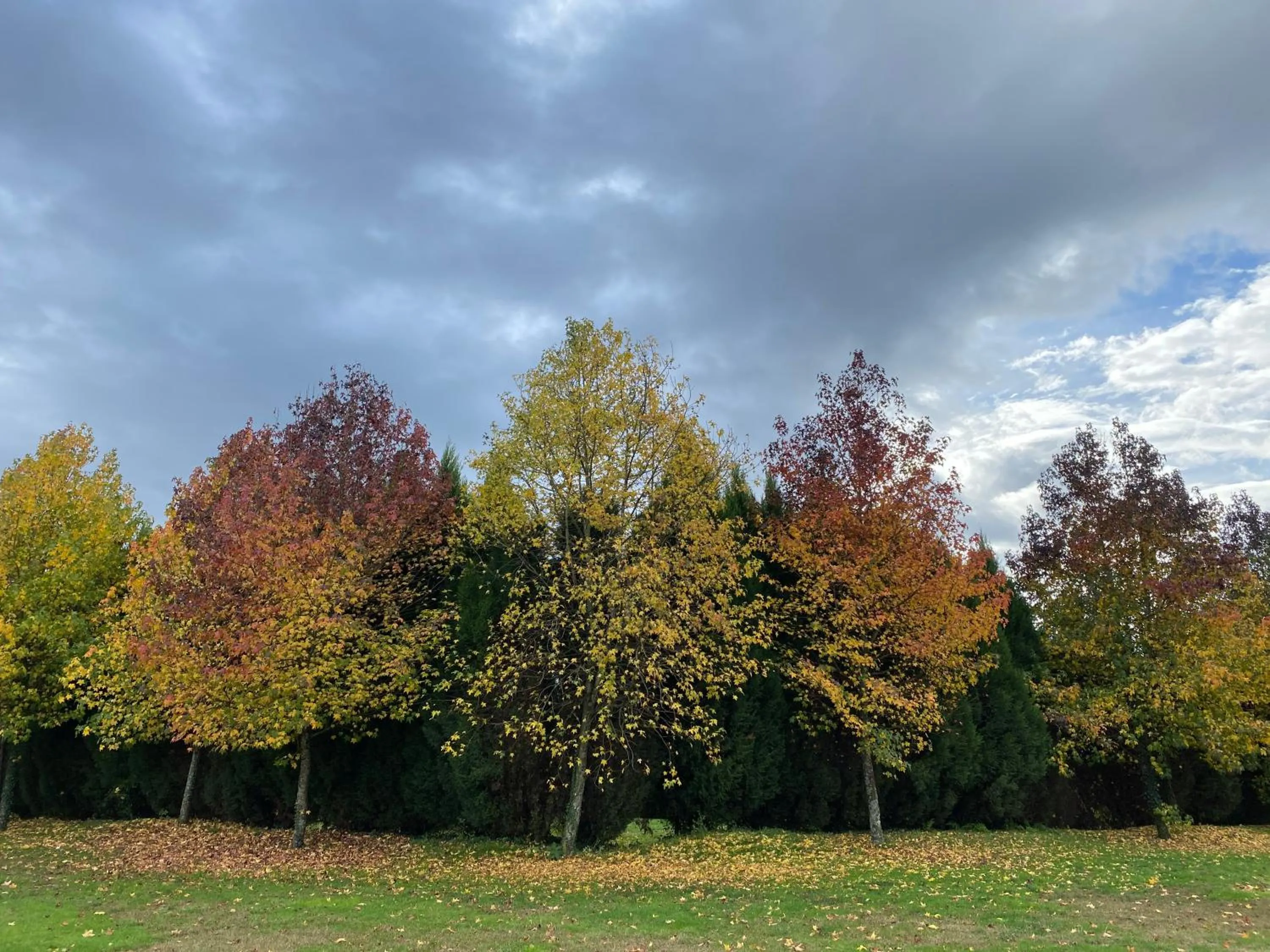 Natural landscape in Hotel de Charme Quinta do Pinheiro