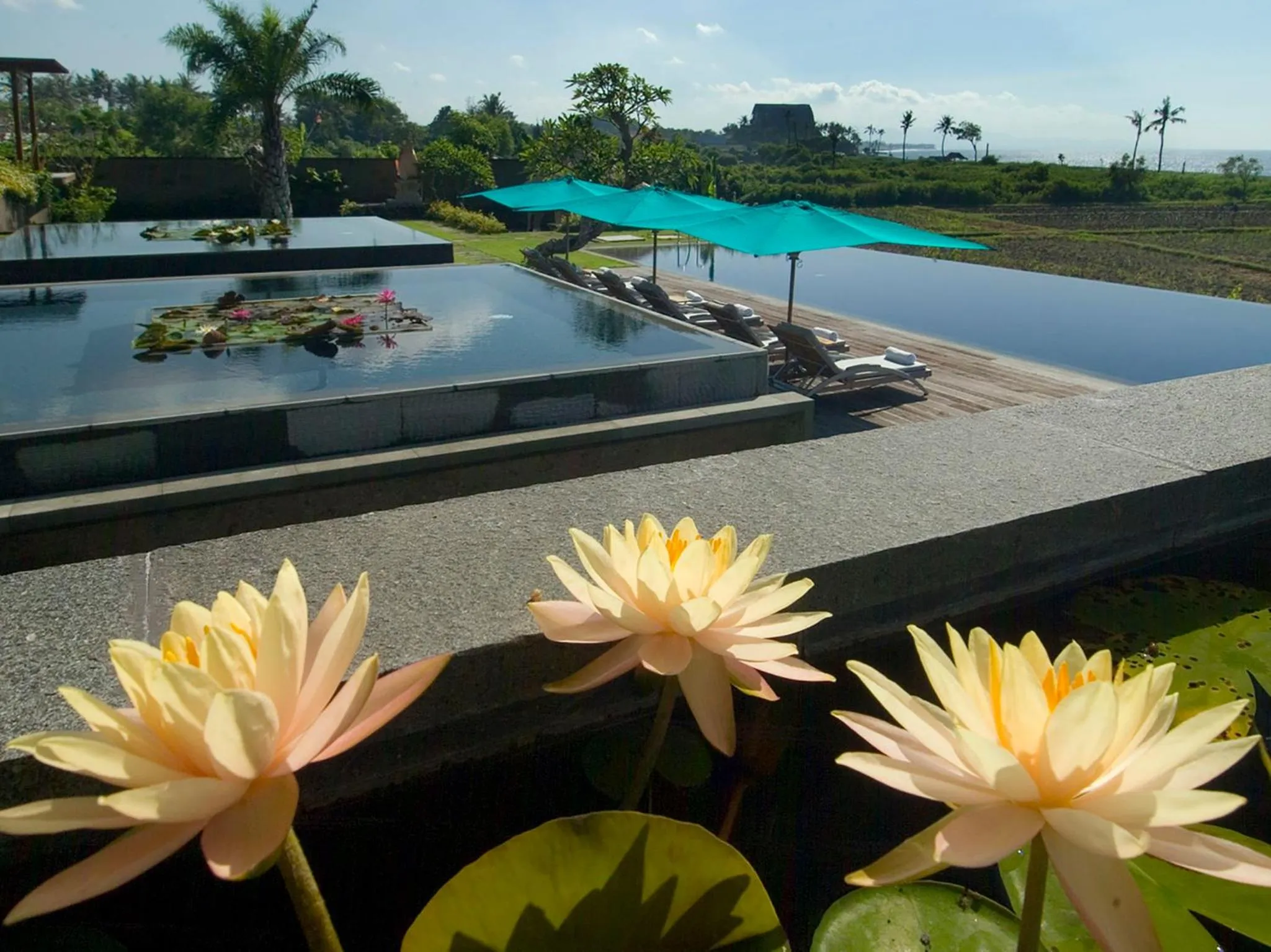 View (from property/room) in Sanur Residence