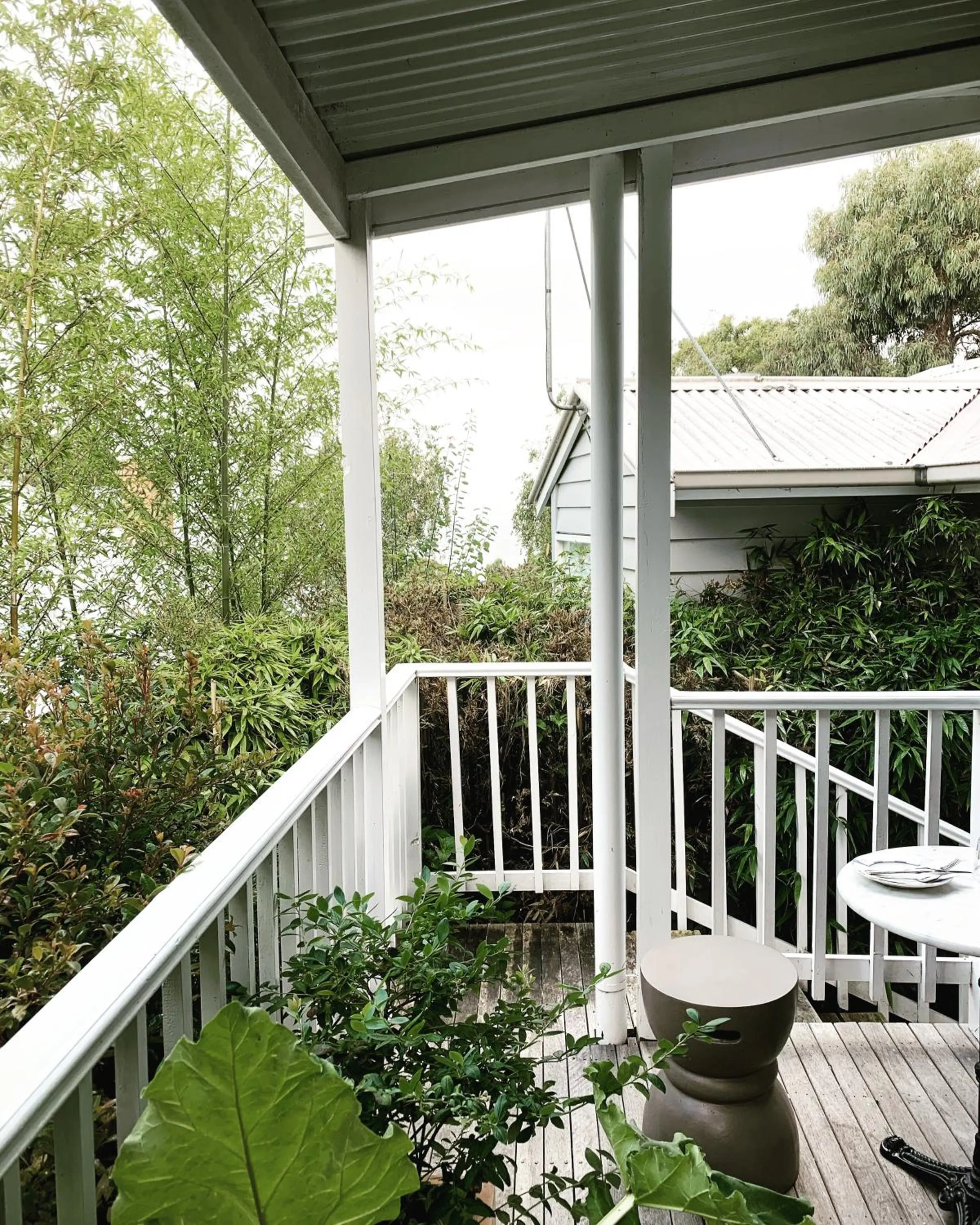 Diving in La Perouse Lorne