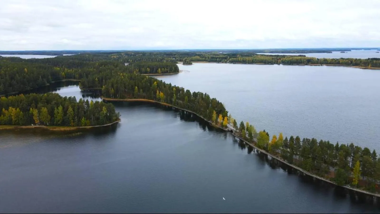 Natural landscape in Punkaharju Resort