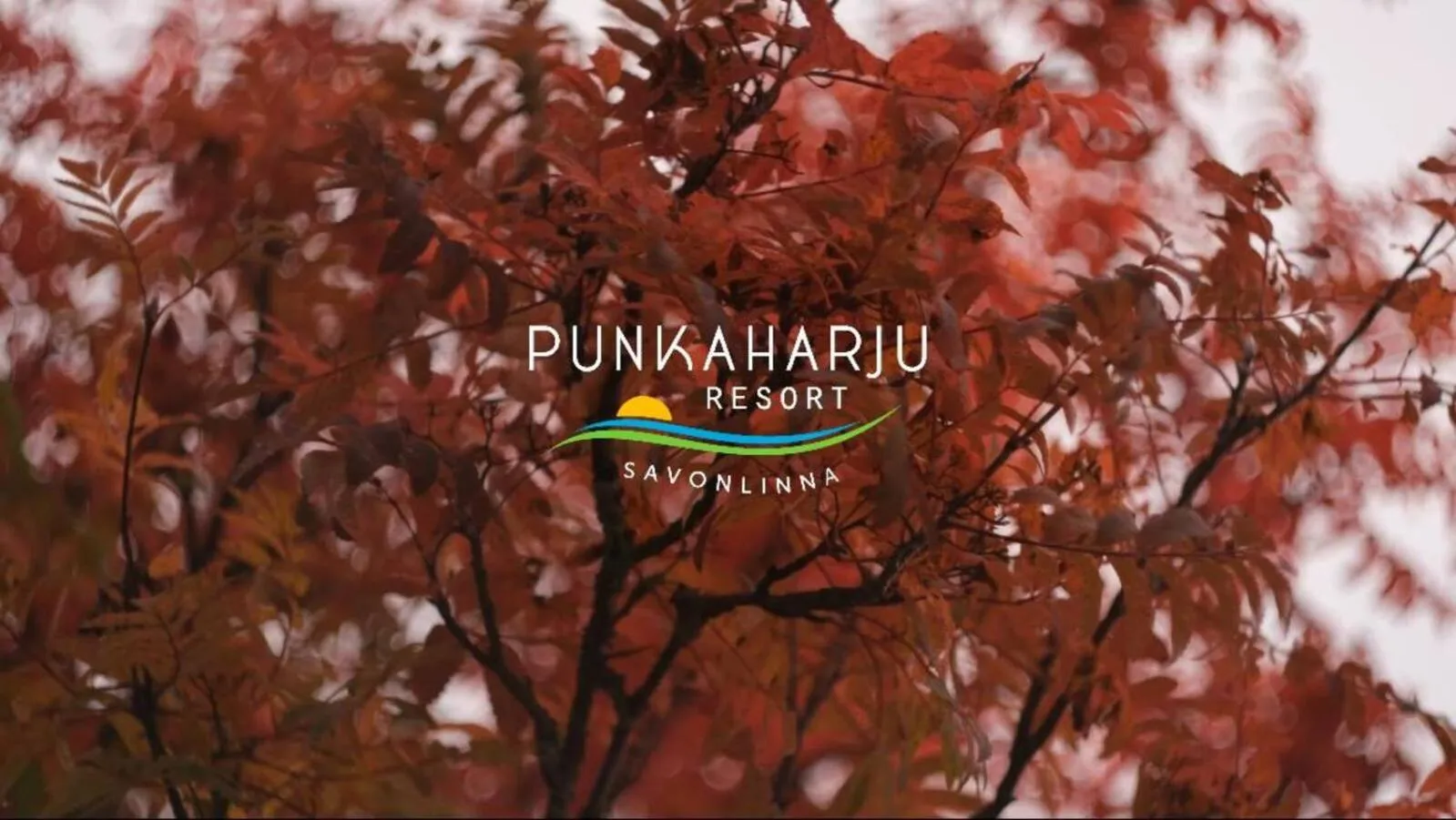 Autumn in Punkaharju Resort