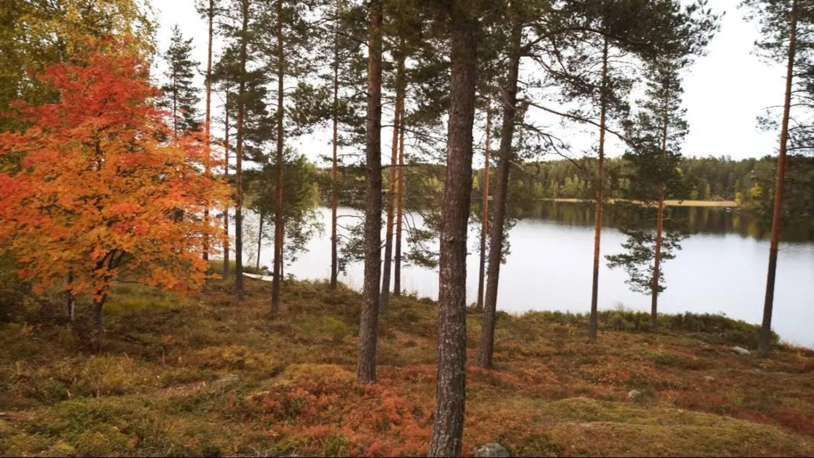 Hiking in Punkaharju Resort