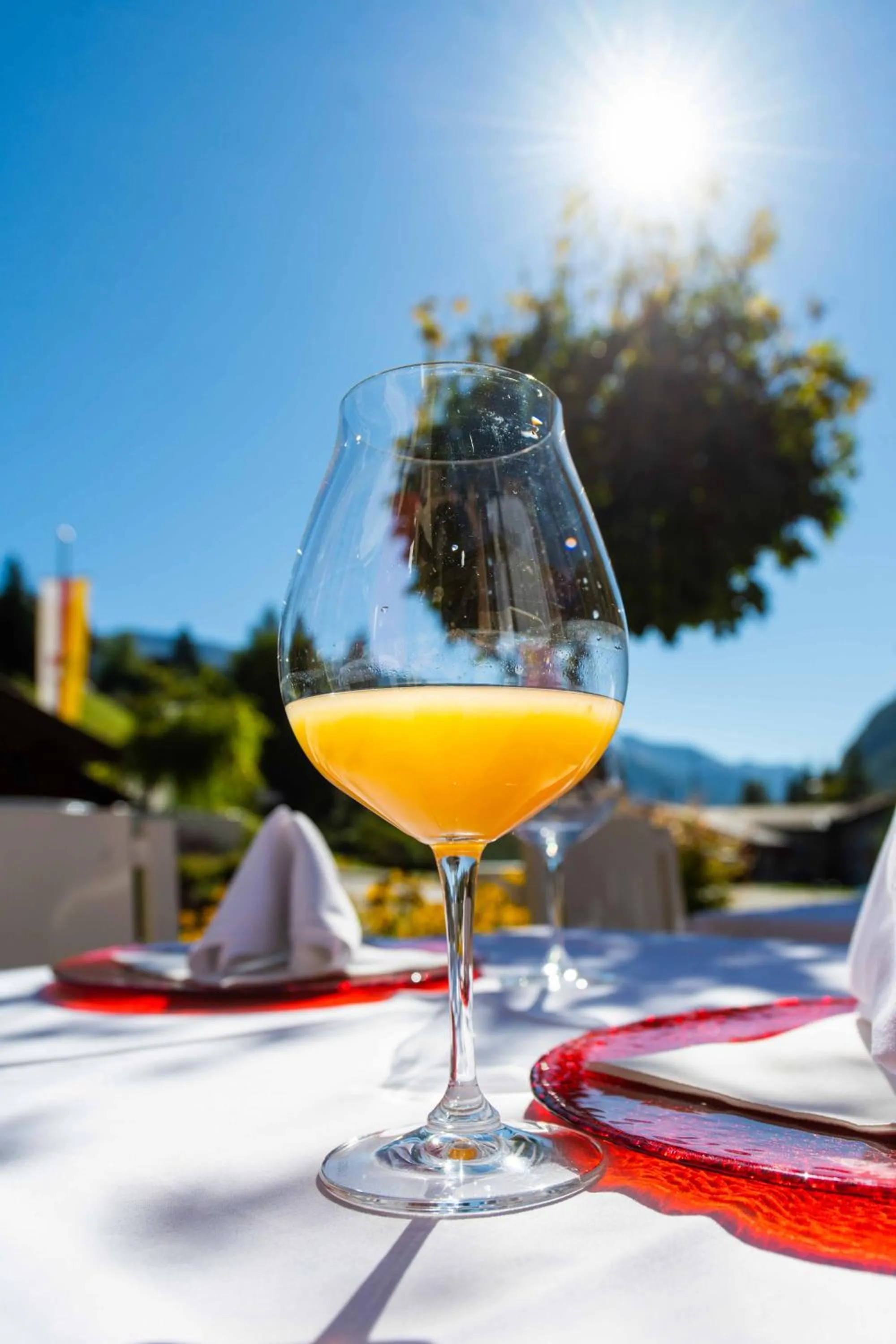 Mountain view in Berghotel Hois