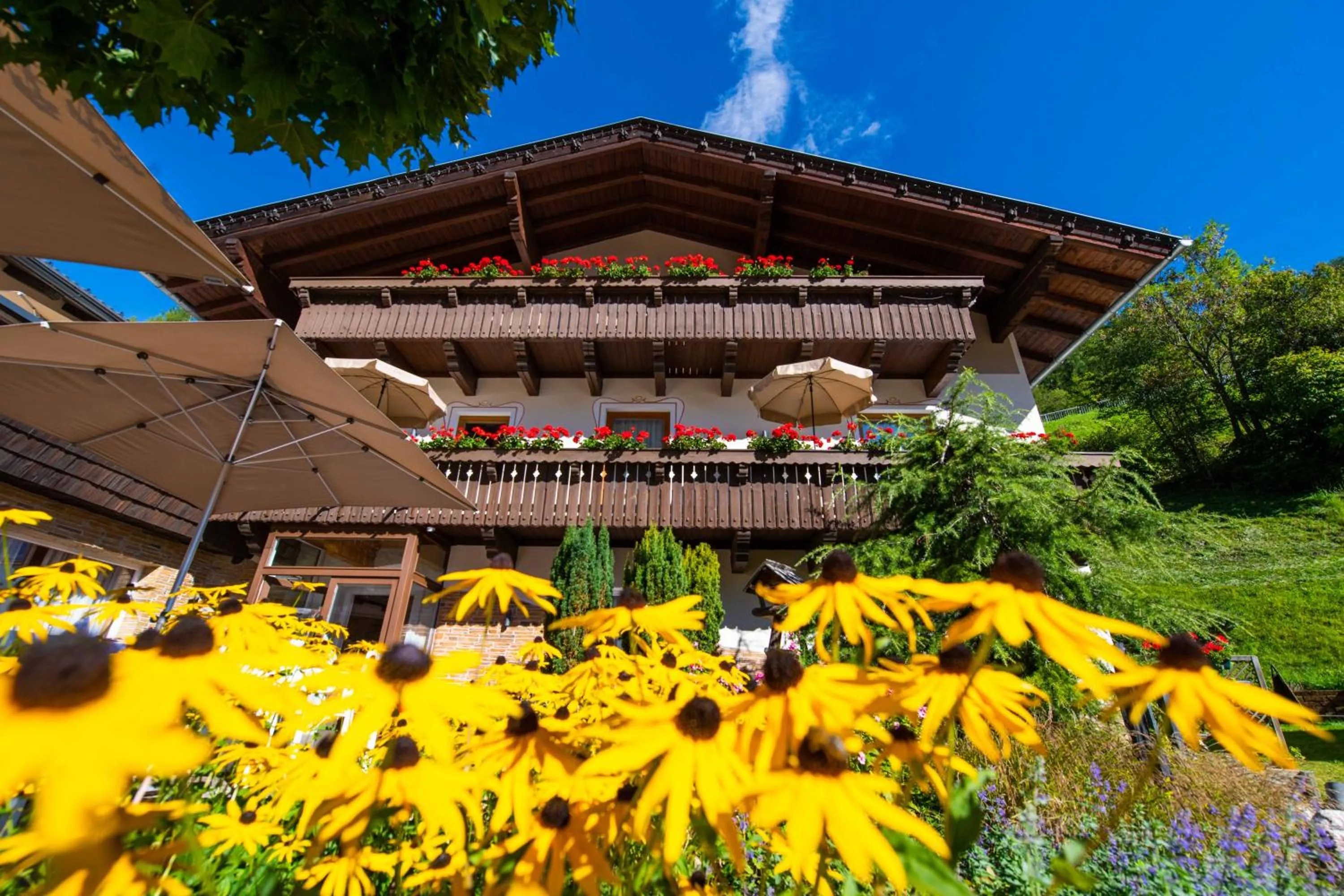 Property building in Berghotel Hois