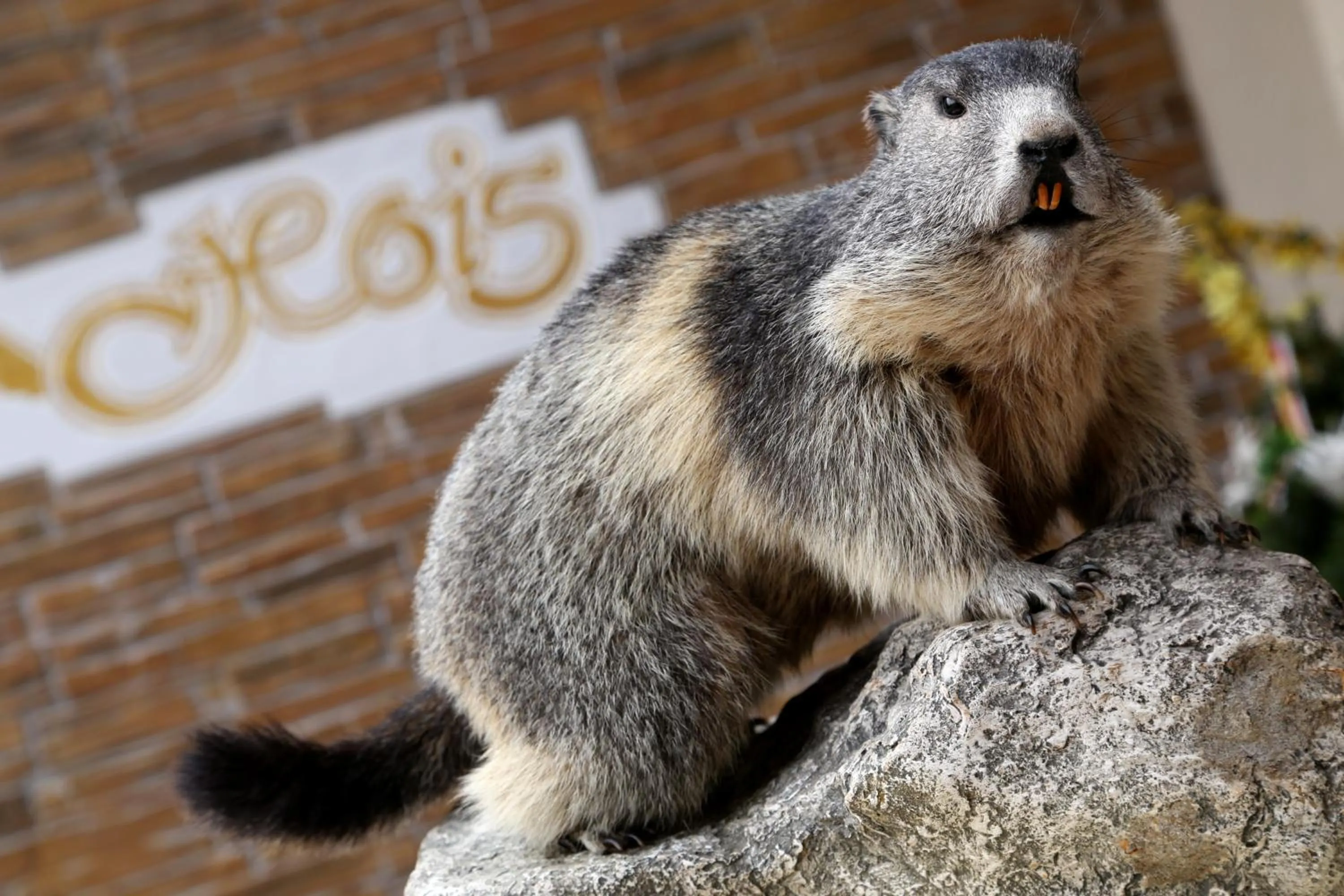 Property building in Berghotel Hois