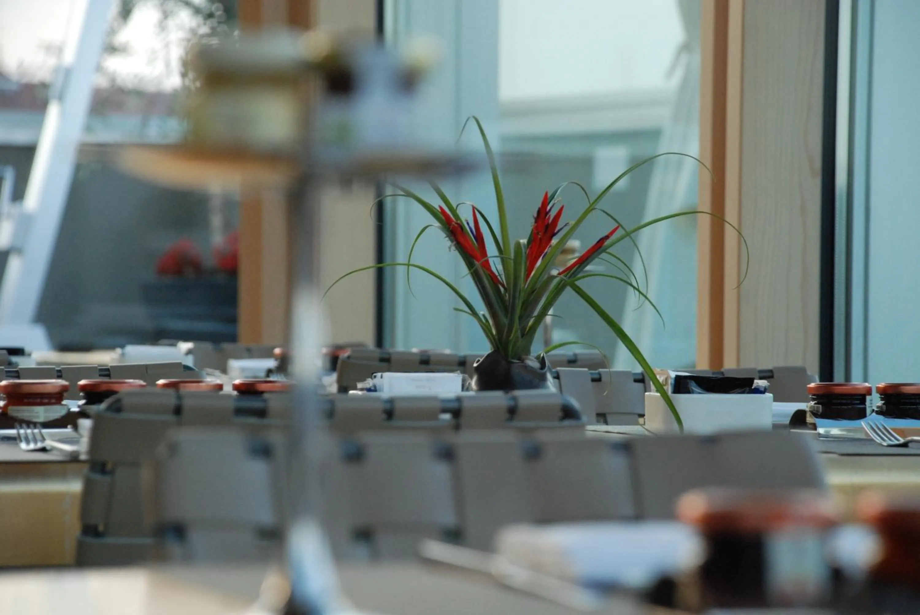 Restaurant/places to eat in Nu Hotel