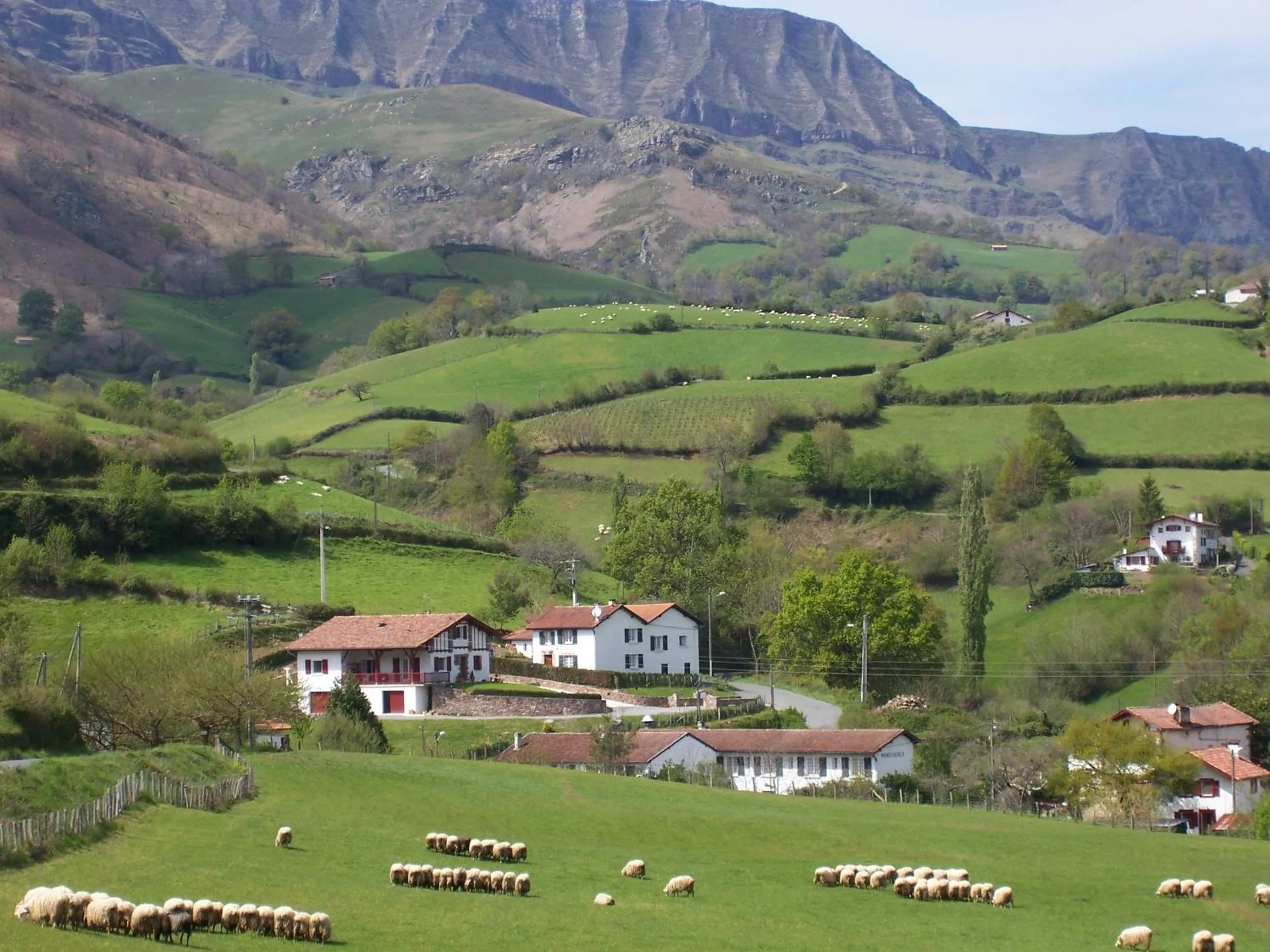 Neighbourhood in Manexenea