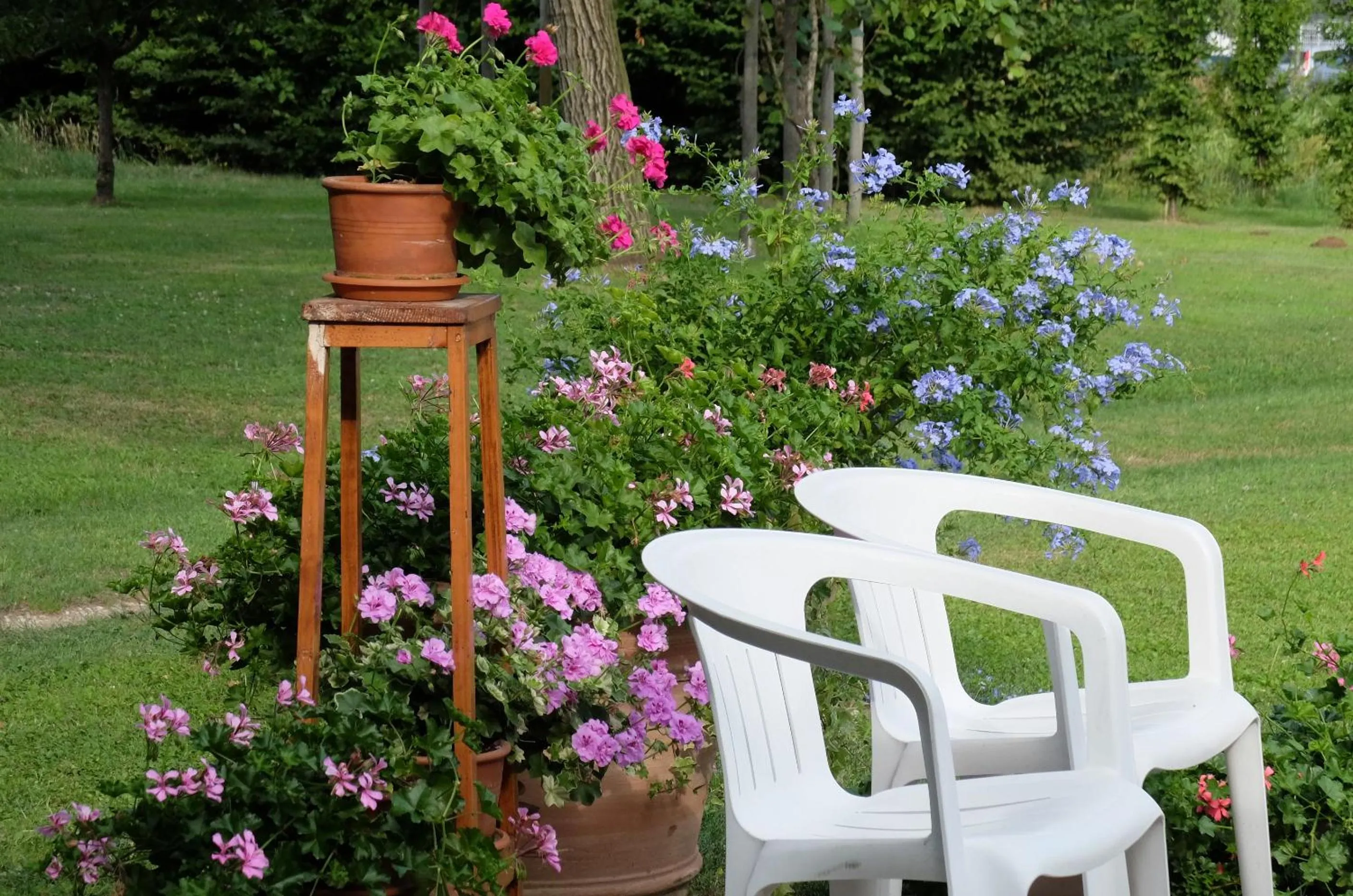 Garden view in Il Selese