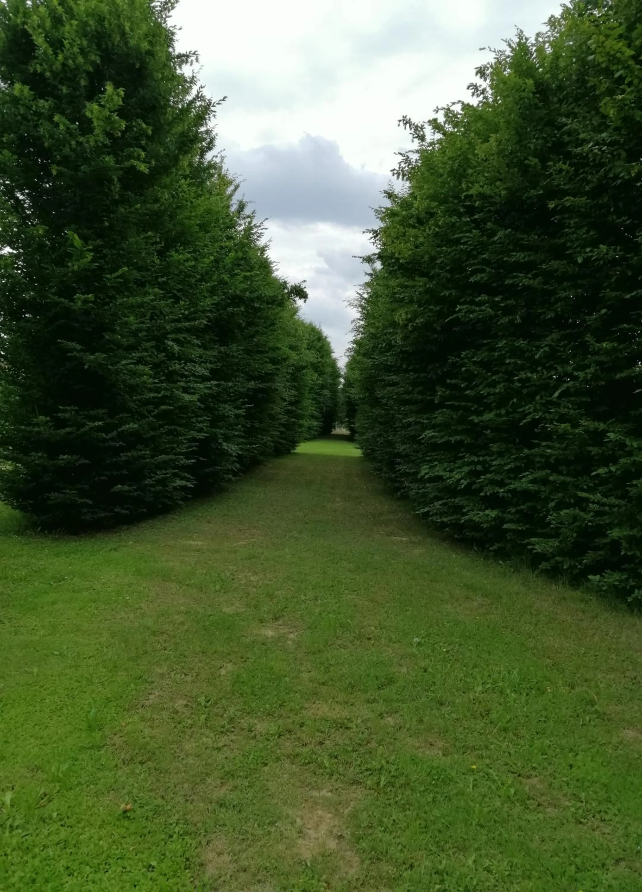Garden view in Il Selese