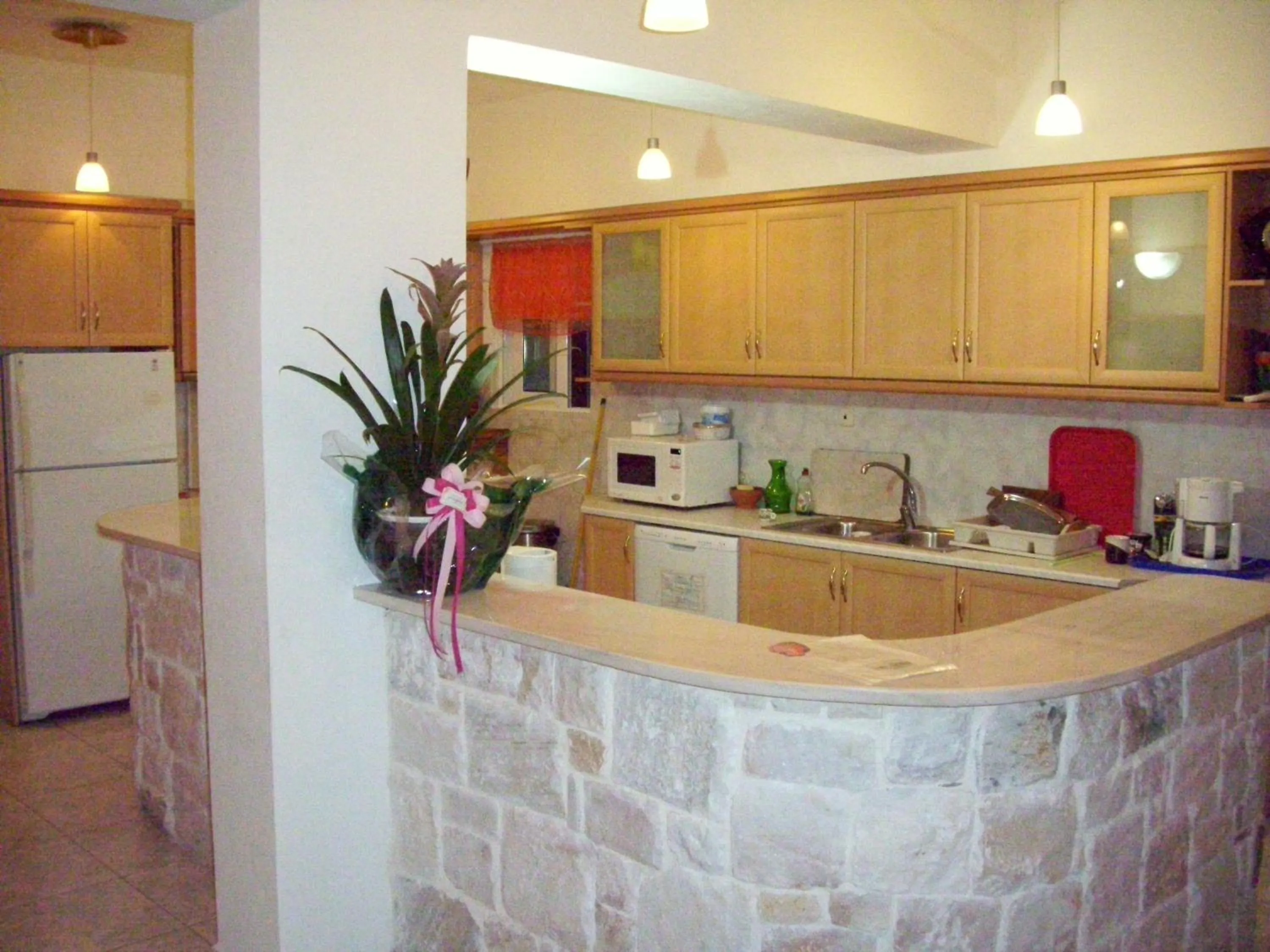 Kitchen or kitchenette in Villa Agnanti Boutique