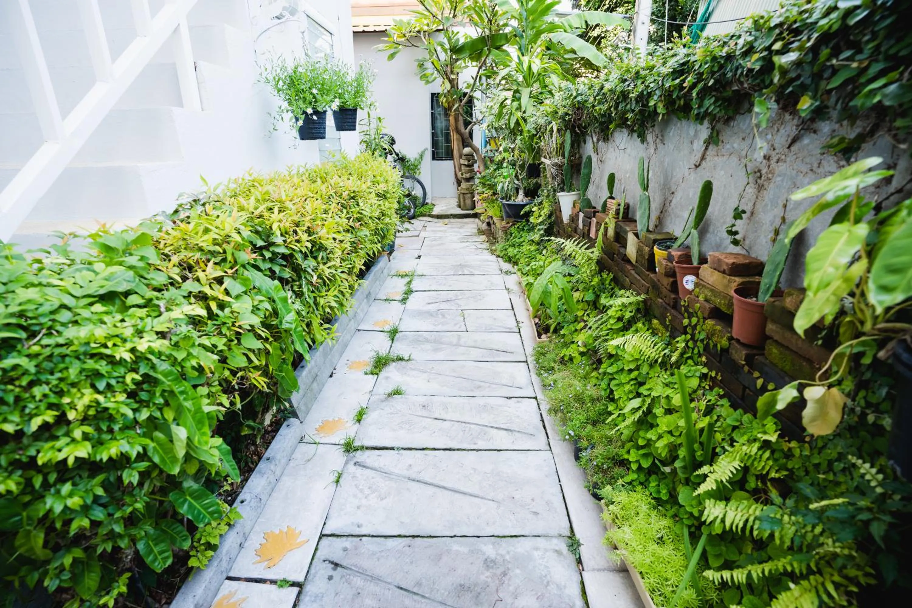 Garden in Sabuy Chiangmai
