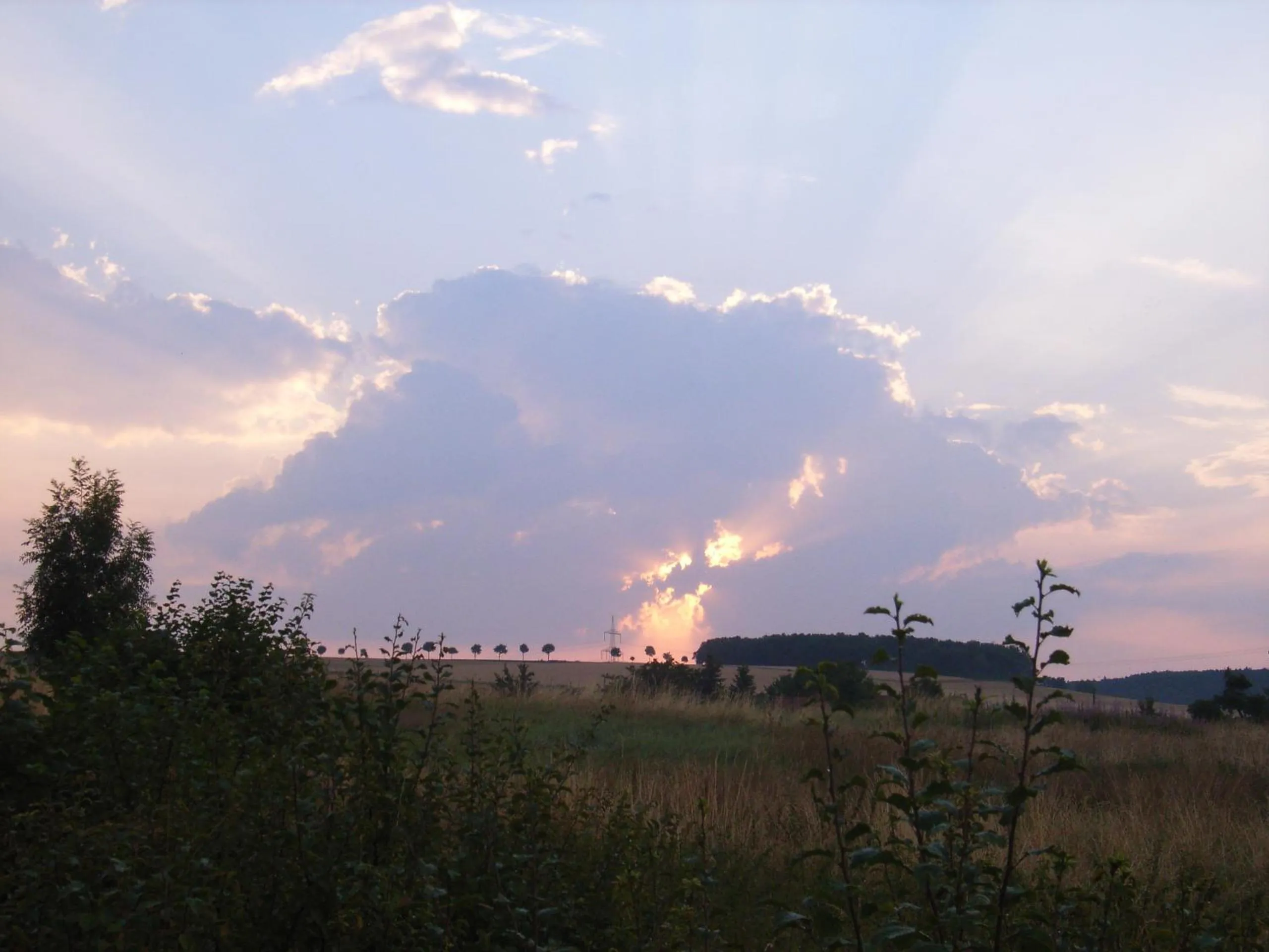 Natural landscape in Hotel Freihof