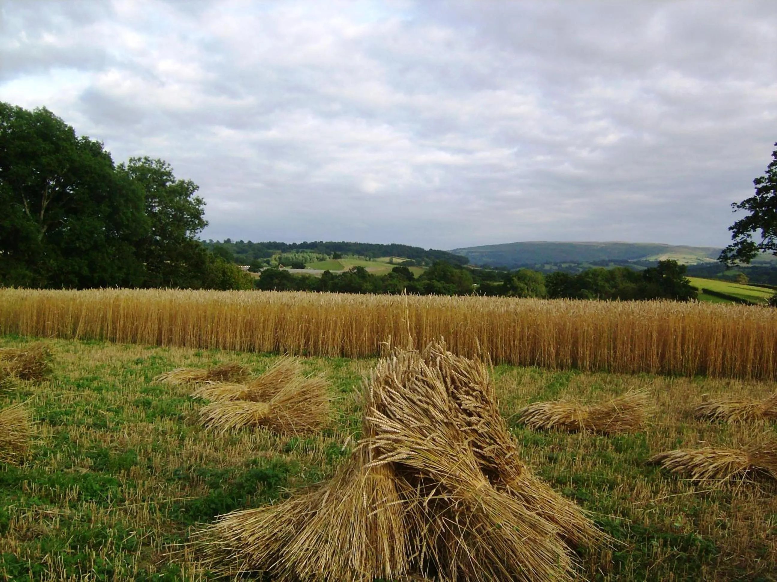 Smithfield Farm Bed & Breakfast