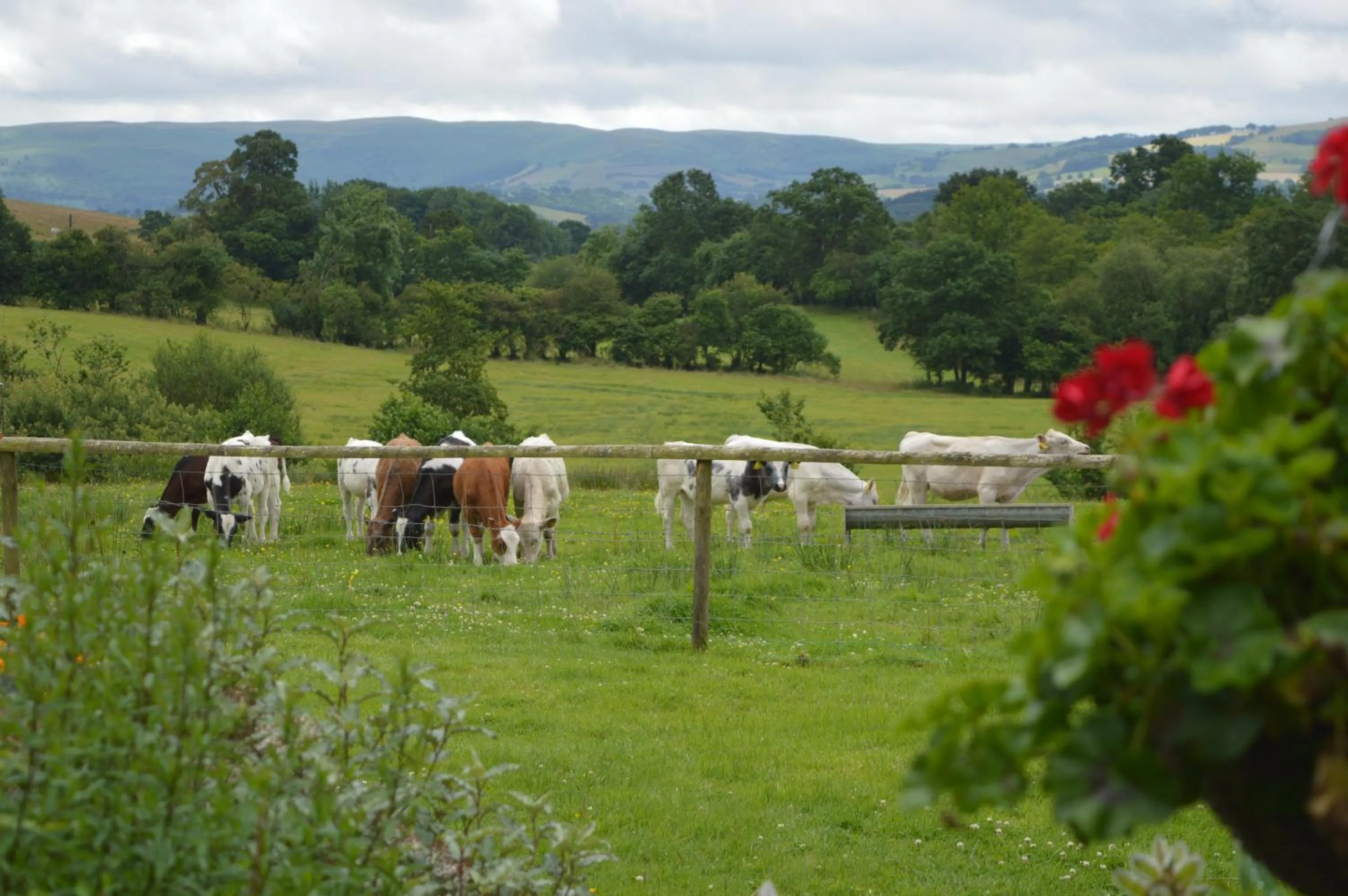 Smithfield Farm Bed & Breakfast