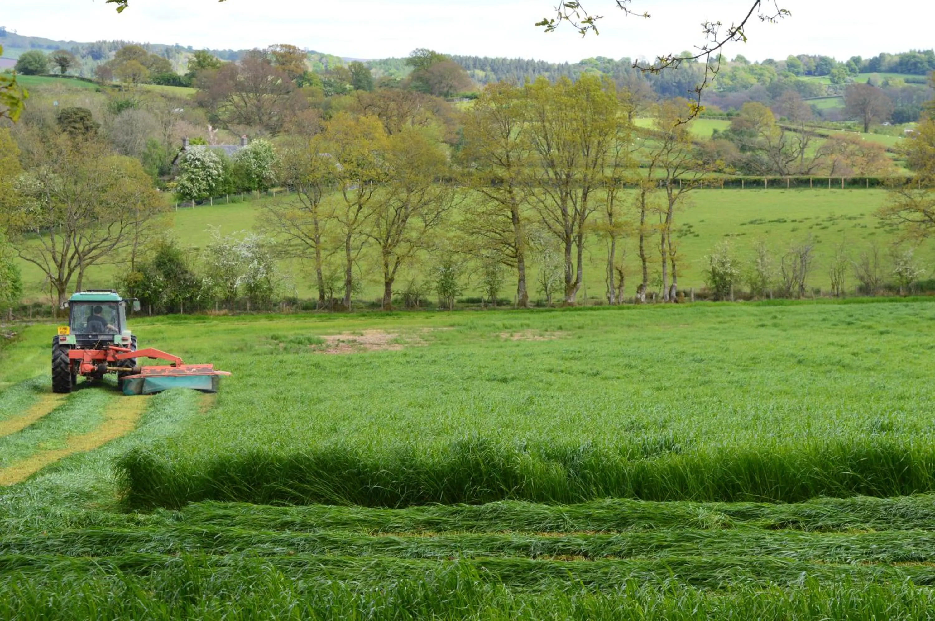 Smithfield Farm Bed & Breakfast