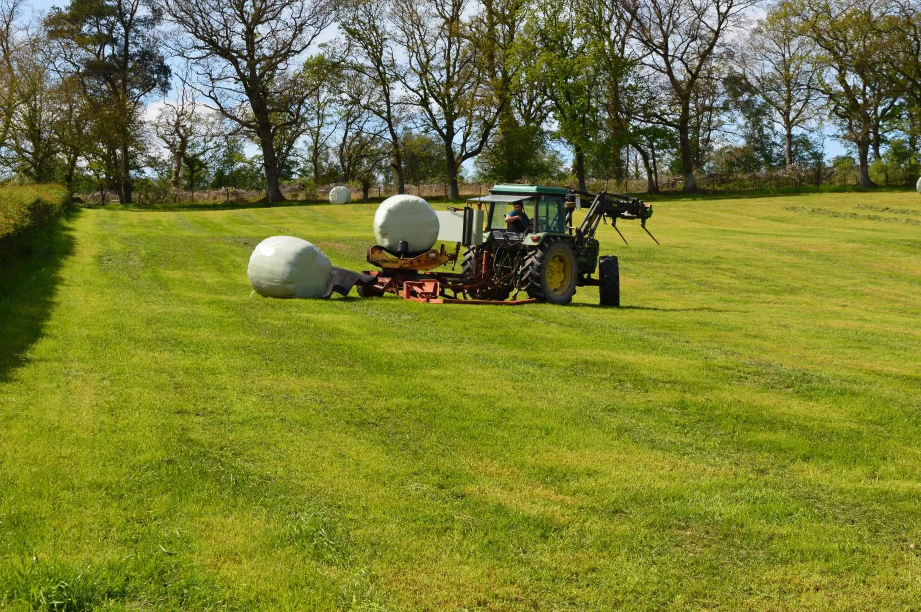 Smithfield Farm Bed & Breakfast