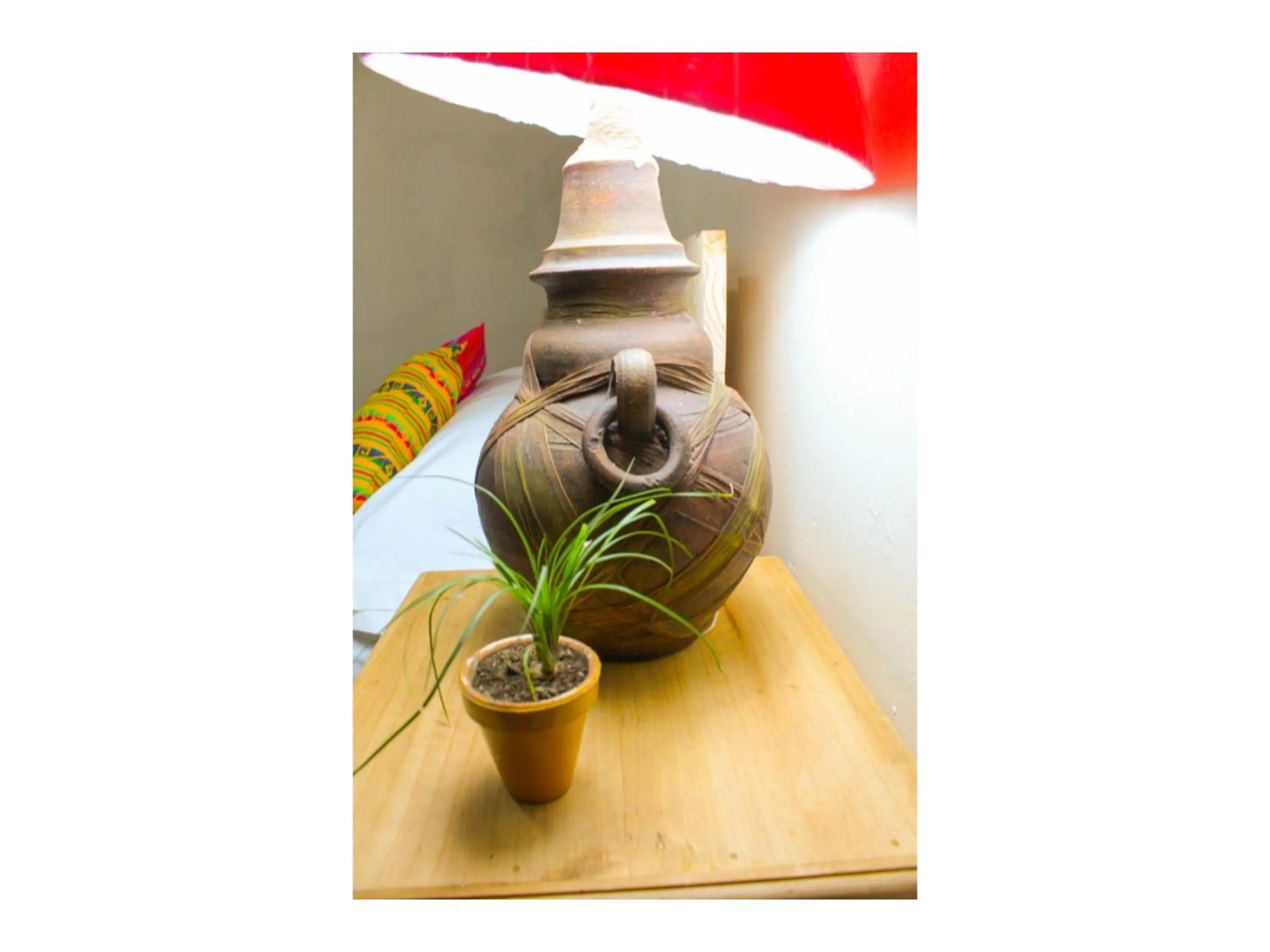 Area and facilities in OYO Hotel Cannacare