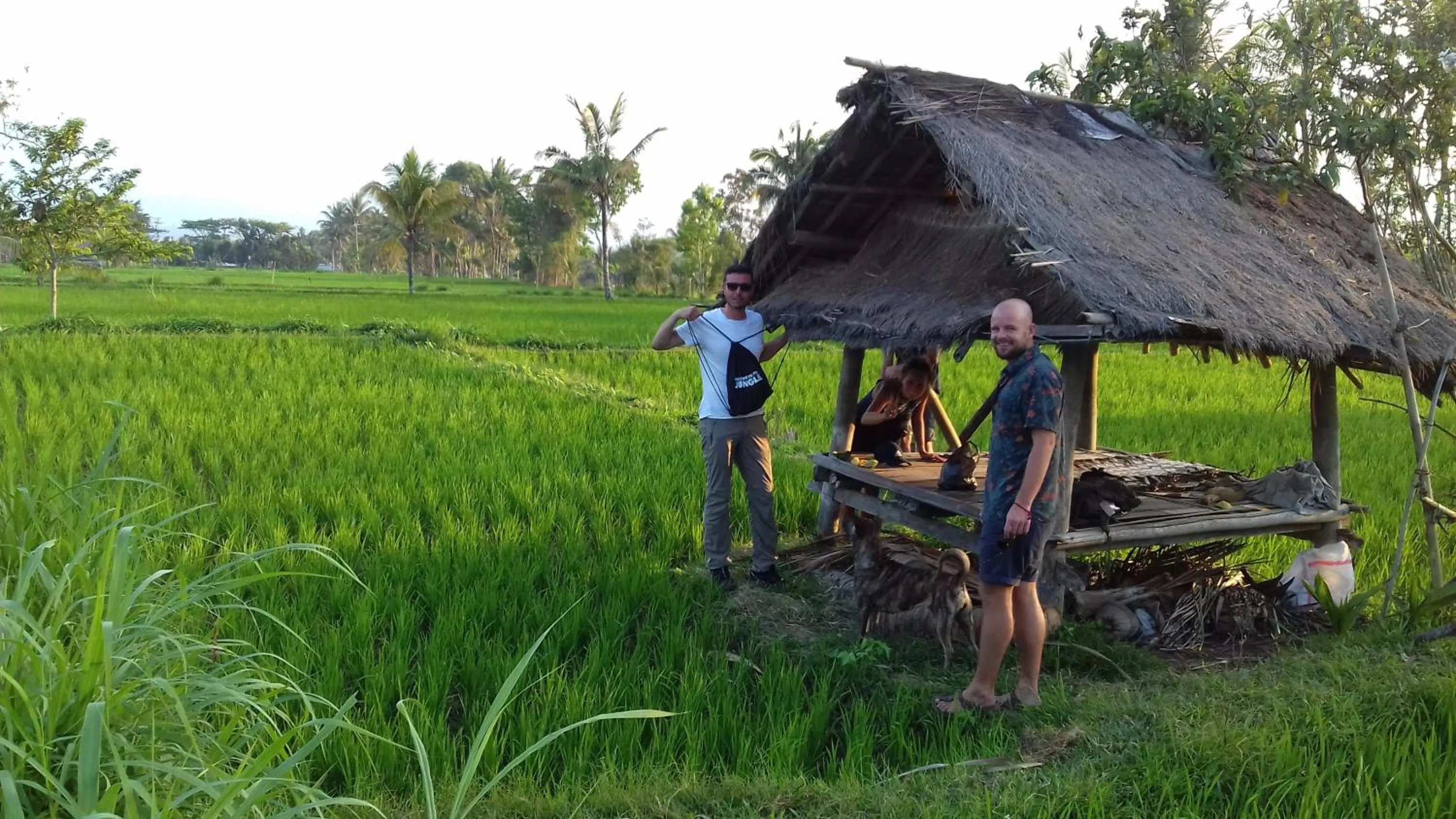 Tetebatu Flush Harmony