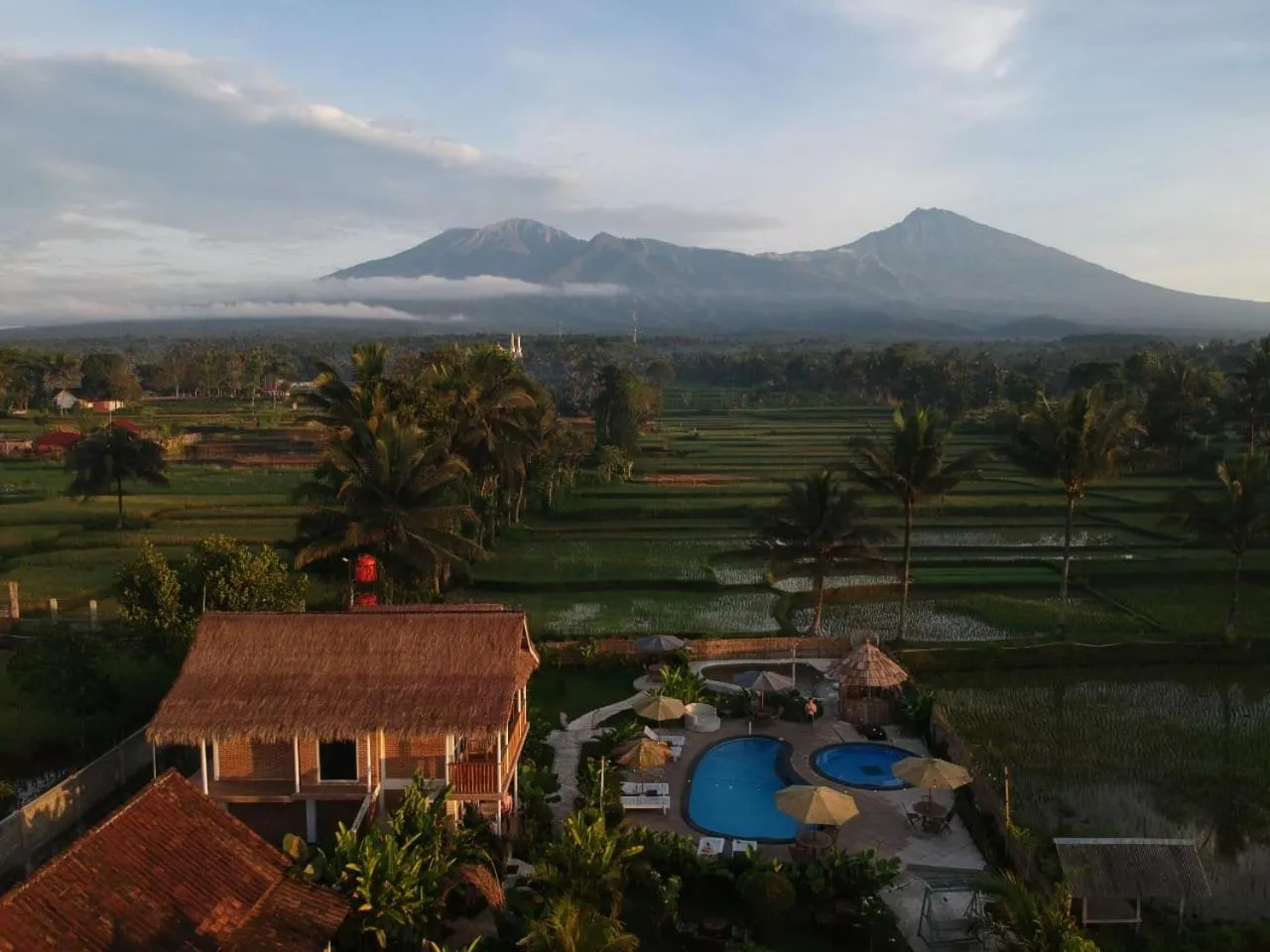 Tetebatu Flush Harmony