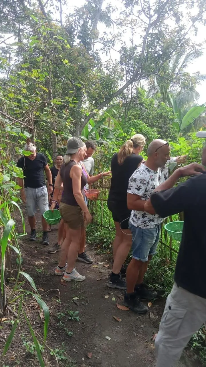 Tetebatu Flush Harmony