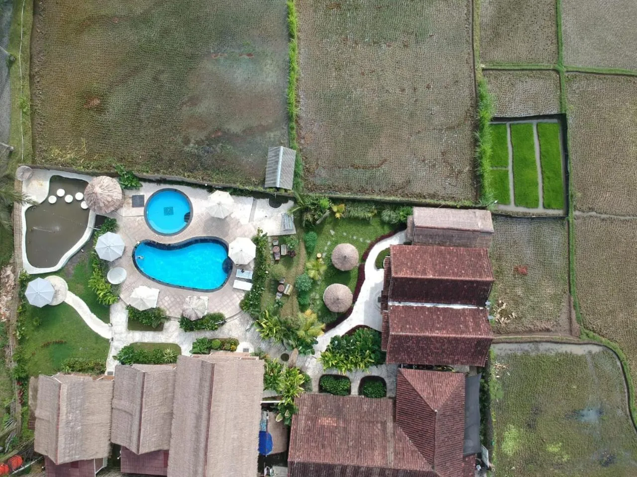 Tetebatu Flush Harmony