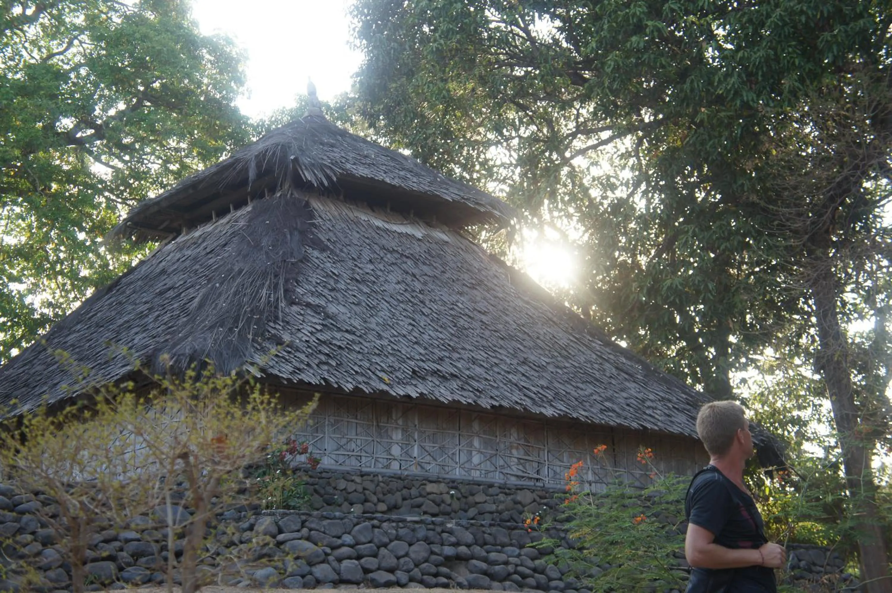 Tetebatu Flush Harmony