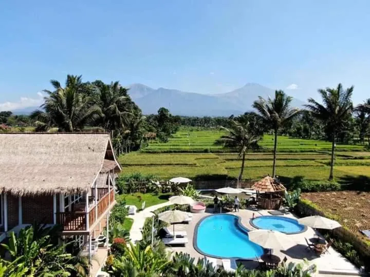 Tetebatu Flush Harmony