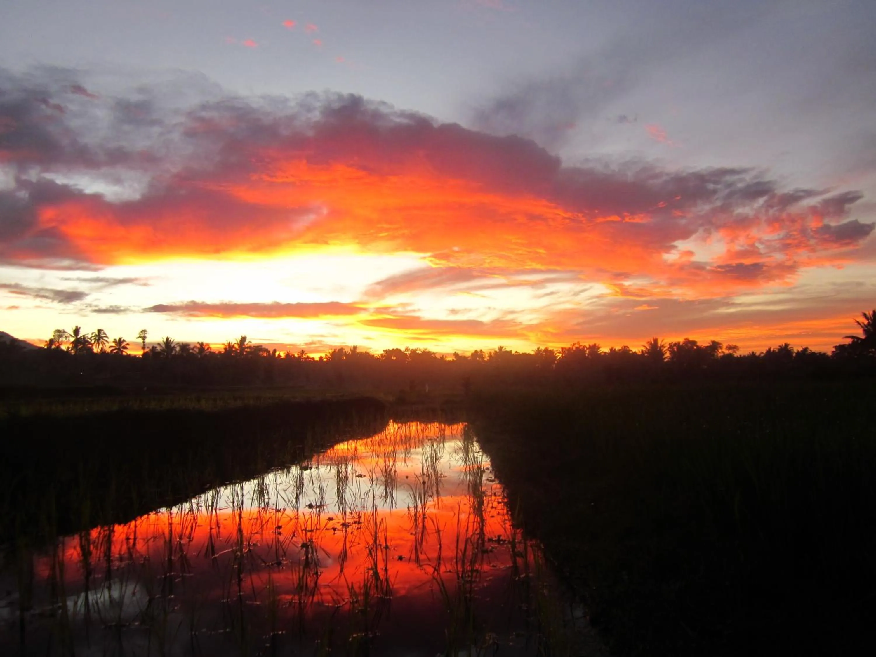 Natural landscape in Tetebatu Flush Harmony