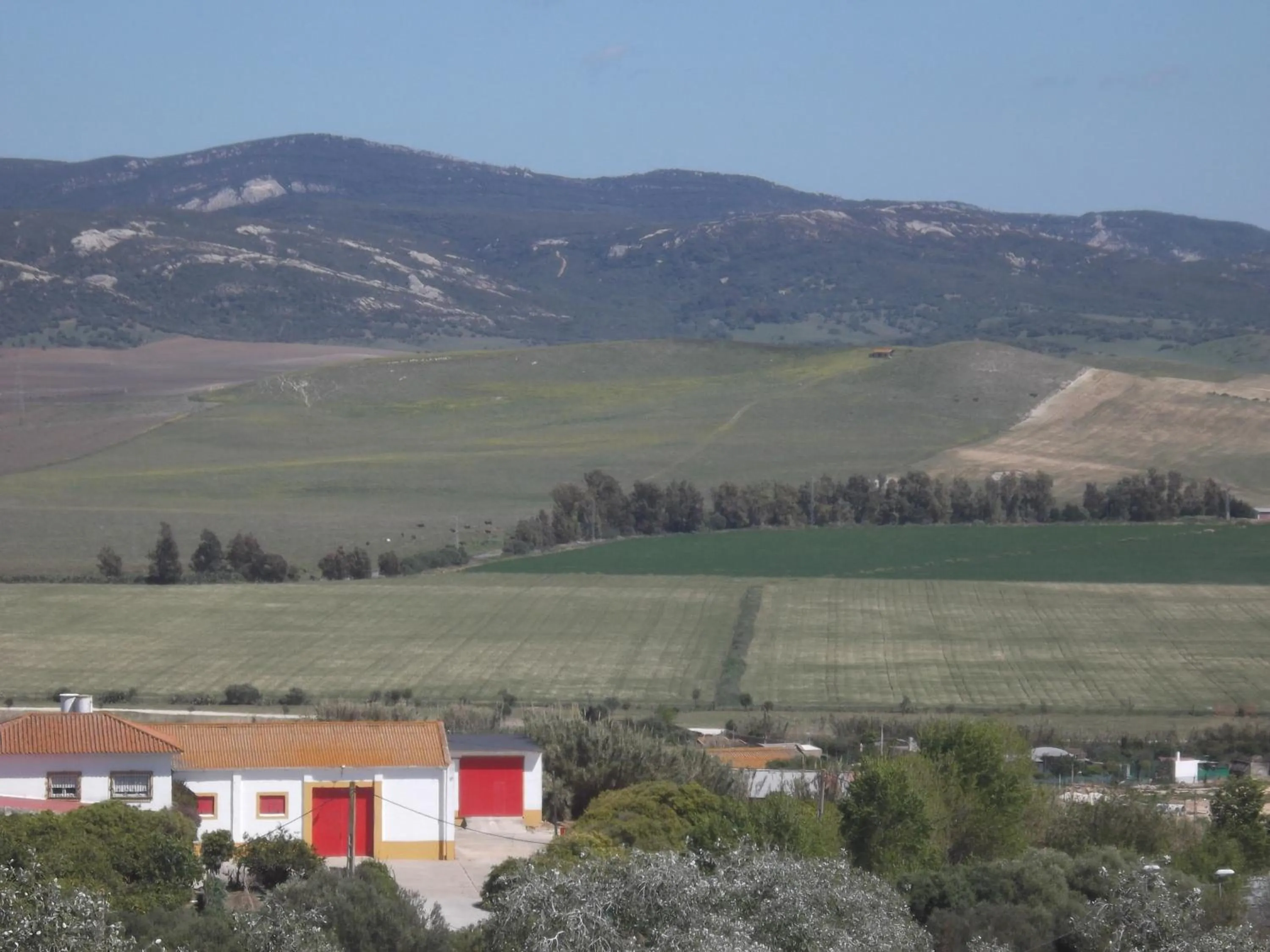 Area and facilities in Hotel Posada Casas Viejas