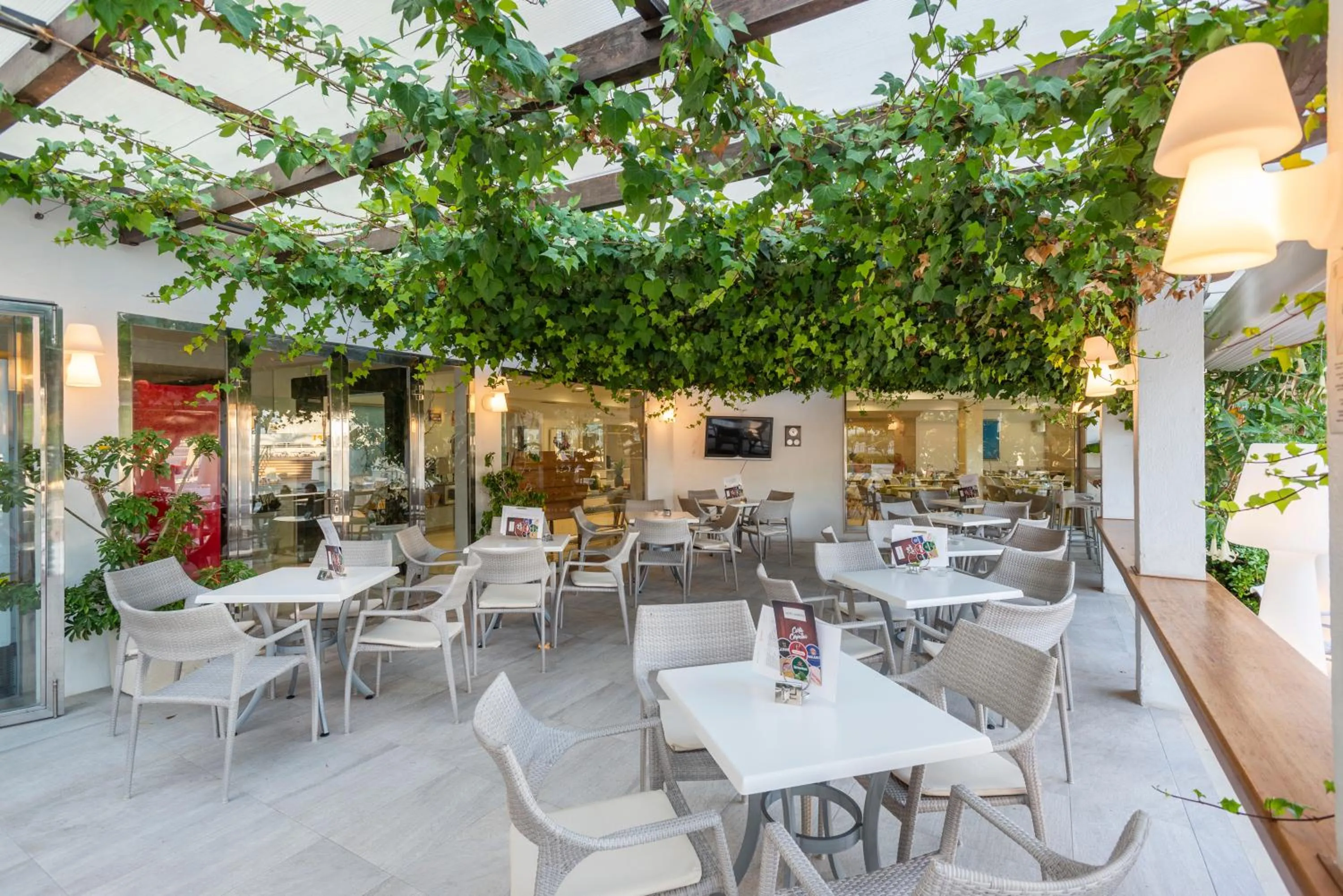 Restaurant/places to eat in Hotel Morito