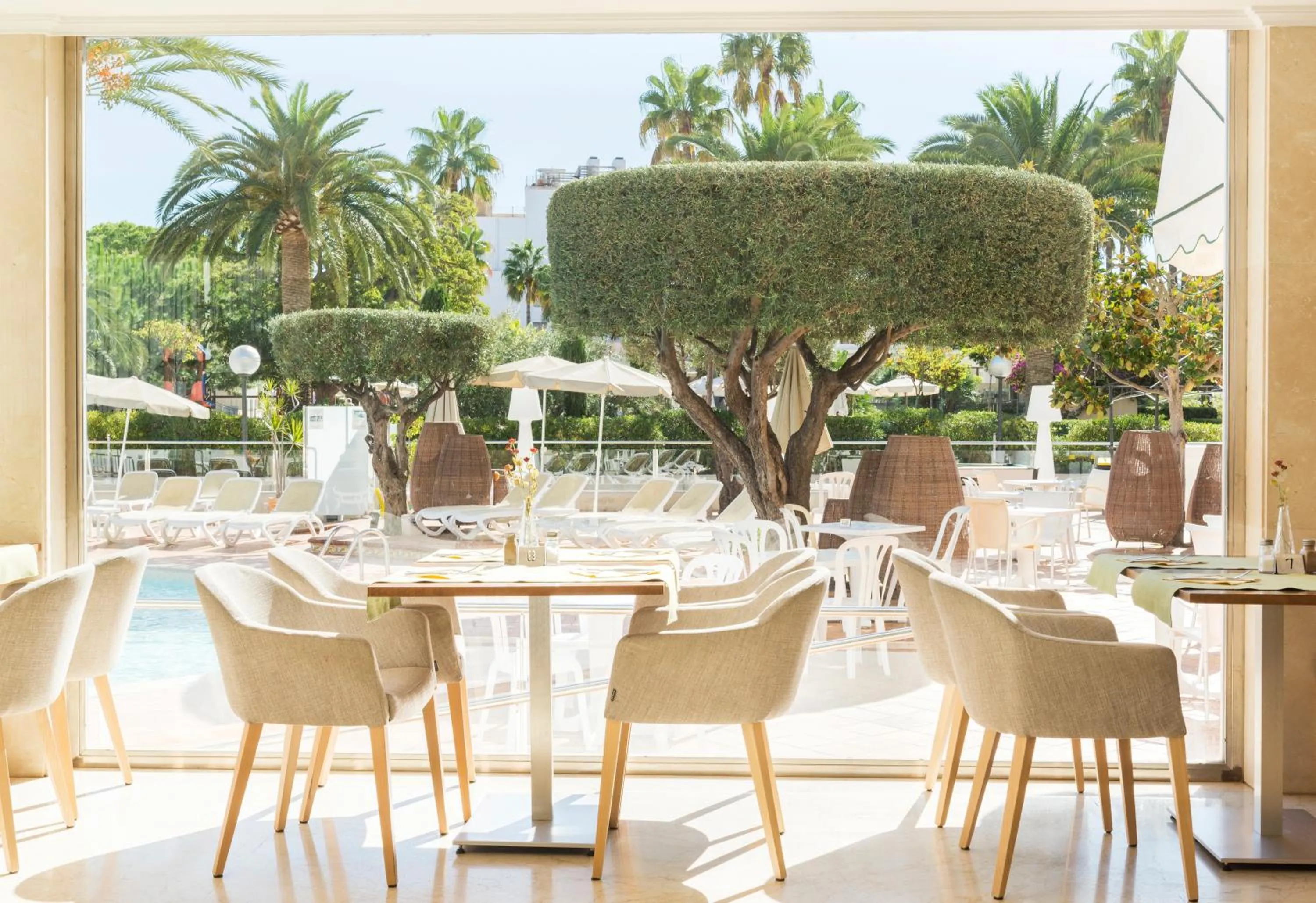 Restaurant/places to eat in Hotel Morito