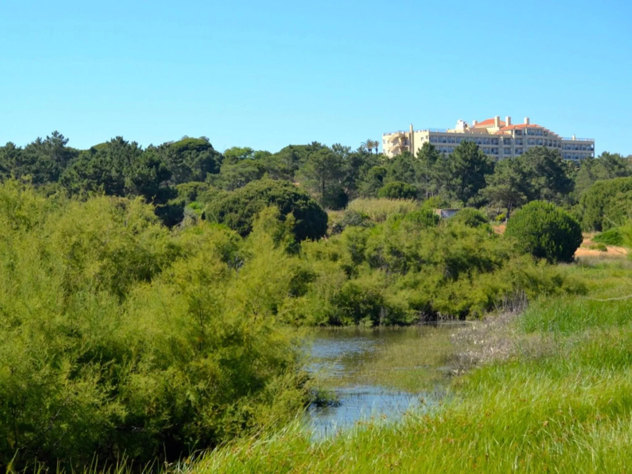Natural landscape in Ria Park Hotel & Spa