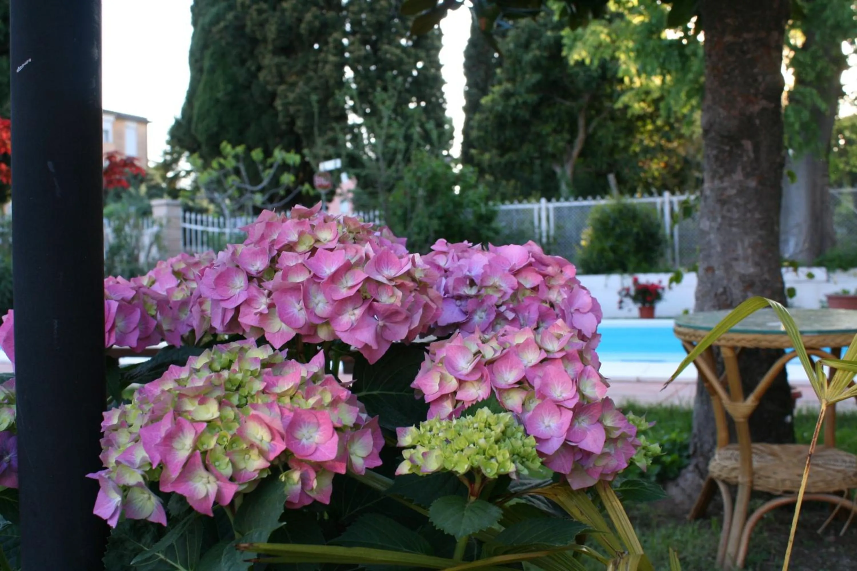 Garden in B&B Desenzano