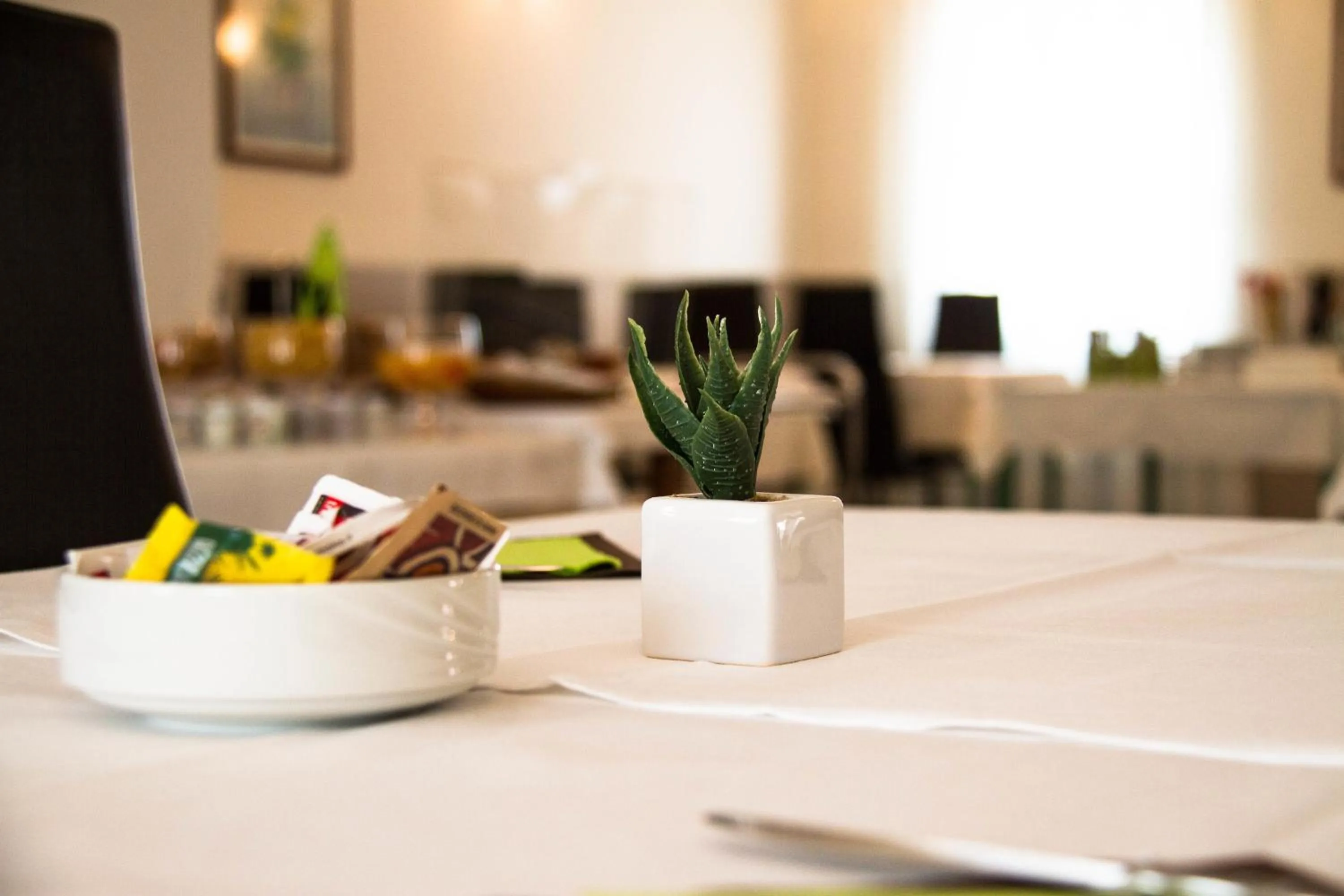 Day in Hotel Arianna